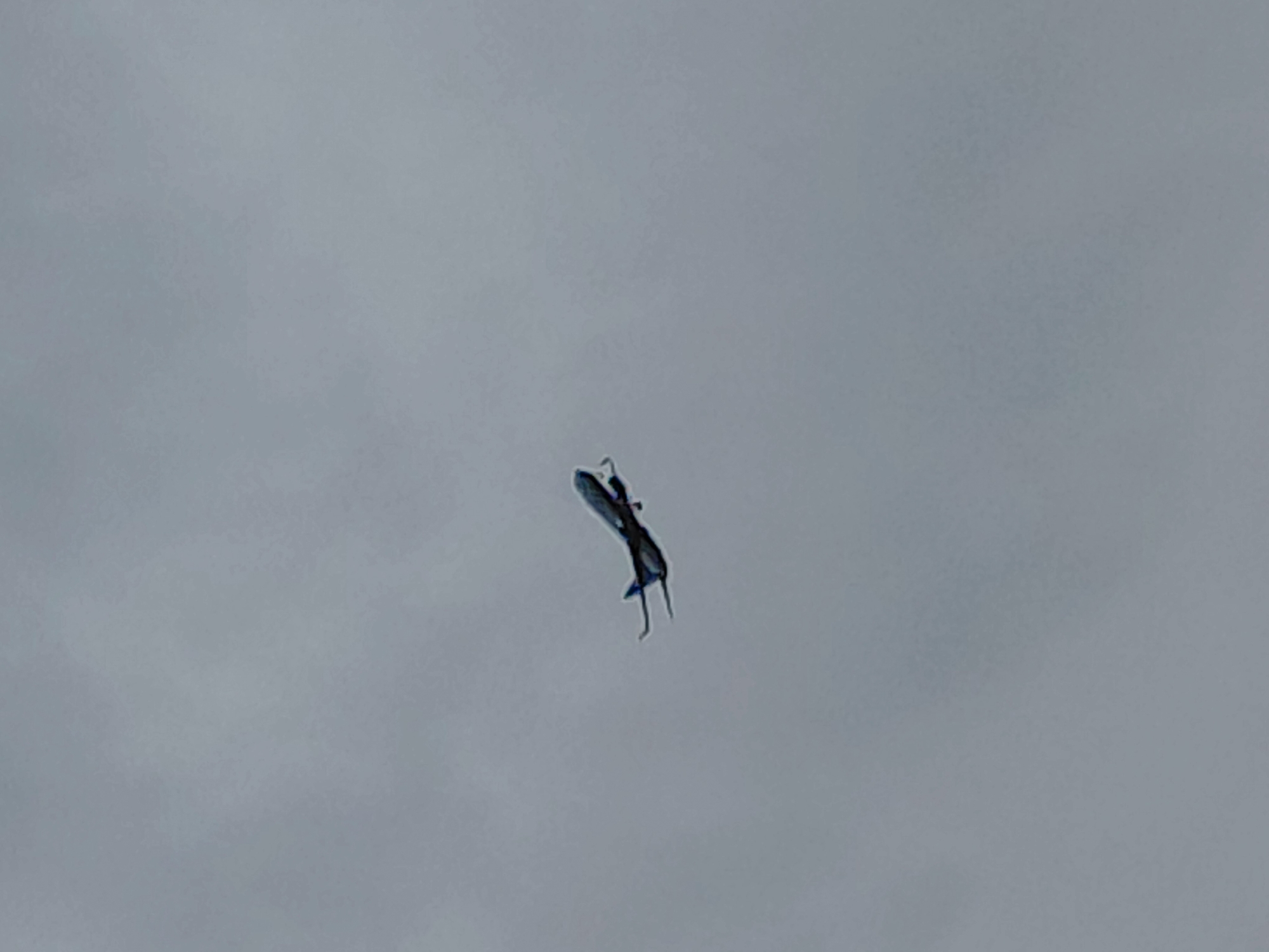 An airplane is visible in the sky against a cloudy backdrop. The airplane appears to be a commercial jet with its wings and tail clearly discernible. It is angled upwards, suggesting it is in the process of ascending. The sky is overcast with a uniform gray color, indicating a cloudy or possibly foggy day. There are no discernible landmarks or features of Novosibirsk, Russia, visible in the image, as the focus is solely on the airplane and the sky.