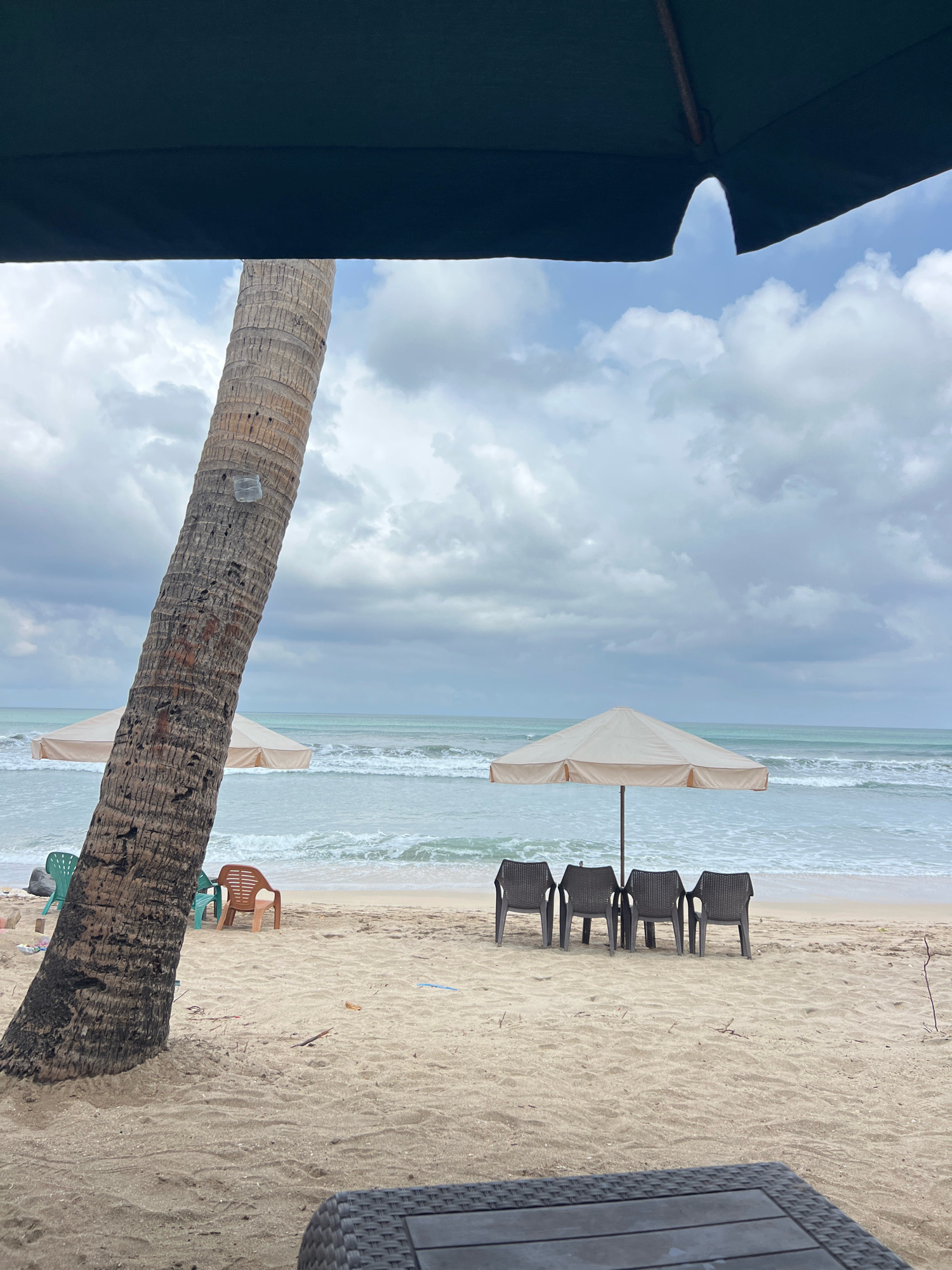The image depicts a beach scene in Kuta, Indonesia, under a cloudy sky. In the foreground, a dark, woven surface, likely a table, is visible at the bottom. A large palm tree trunk dominates the left side of the frame, leaning diagonally. Beyond the palm tree, the sandy beach stretches towards the ocean. Several plastic chairs are scattered on the sand, with a light-colored umbrella providing shade for a row of four dark plastic chairs facing the sea. In the distance, gentle waves lap the shore under a gray, overcast sky. The overall impression is one of a quiet, possibly overcast day at the beach.