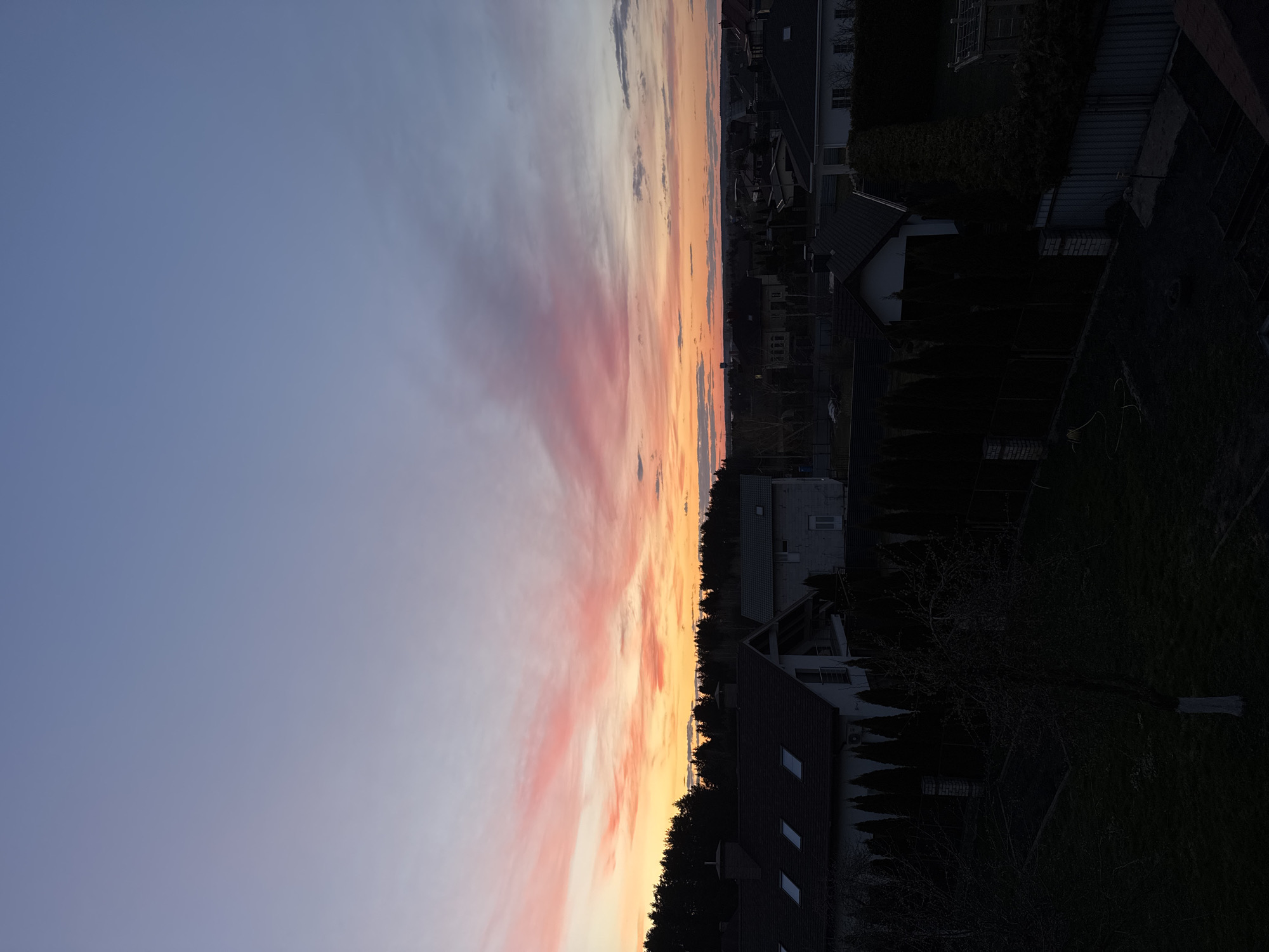 This media file captures a panoramic view of a residential area at either sunrise or sunset, indicated by the vibrant colors of the sky and the low-light conditions on the ground. The image, if correctly oriented horizontally, shows the horizon running across the middle, separating the dramatic sky from the suburban landscape below.
The sky dominates the upper portion, featuring a gradient of colors transitioning from a muted blue-grey at the top, through soft lavenders and purples, into striking pinks, oranges, and golden yellows closer to the horizon. Elongated cloud formations, likely stratocumulus or altocumulus, are illuminated by the low sun, creating streaks of bright color across the expanse.
Below the horizon, a collection of residential buildings with dark, pitched roofs is visible, appearing largely as silhouettes against the brighter sky. These houses are nestled among dark trees and hedges, which define garden boundaries and obscure some details due to the low light. Some houses show glimpses of windows and architectural details like dormer windows. The immediate foreground consists of shadowy garden areas with dark vegetation and fencing.
There are no people visible, and no specific activities are discernible. The overall atmosphere is peaceful and serene. The scene depicts the beauty of the golden hour over a residential landscape, consistent with the location context of Ждановіцкі сельскі Савет, Belarus. No visible text is present in the image.