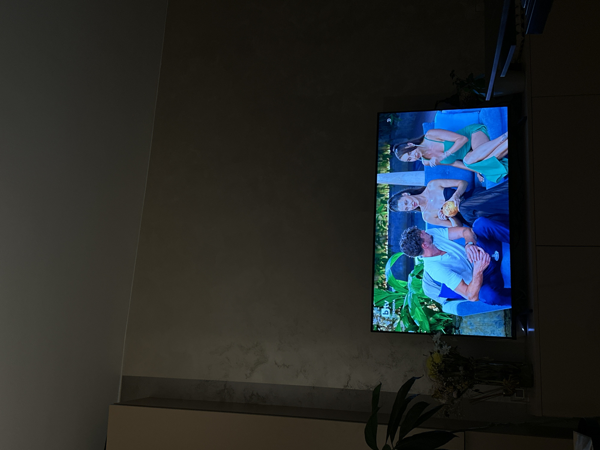 The image depicts an indoor scene at night or in low light, focusing on a television screen displaying a program. The TV screen is oriented vertically within the frame, suggesting it is mounted on a wall.
On the television, three individuals are shown in what appears to be an outdoor, lush green, possibly tropical, setting with blue cushions. One woman with dark hair is lying on a blue cushion, wearing a bright green dress. Below her, another woman with dark hair, dressed in a dark top, holds a round, light-colored object, possibly a coconut. Further down, a man with dark, curly hair and a beard is seated, wearing a white polo shirt and blue trousers, holding a glass. The people on screen appear calm or contemplative.
In the bottom left corner of the TV display, a "btv" logo is visible, accompanied by the Cyrillic text "ПРЕМИЕРА" (PREMIERE).
The room itself is dark, with a large, plain wall dominating the left side of the image. Below the TV, there's a light-colored shelf or cabinet. A plant with green leaves is partially visible in the bottom left corner of the room, and a bouquet of dried flowers is placed on the shelf beneath the television. The walls have a subtle, textured finish. The scene conveys a relaxed atmosphere of watching television in the evening.