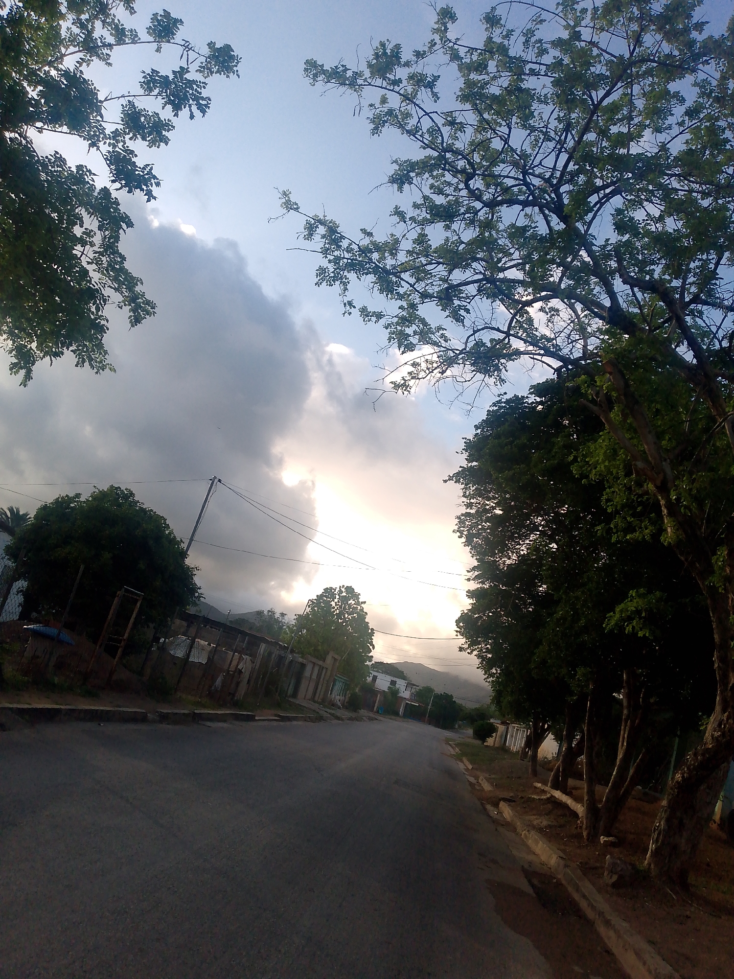 This is a low-angle, wide shot of a street in a rural or semi-rural area, possibly Pedro González, Venezuela, under a cloudy sky with the sun breaking through. A paved road with a slight incline dominates the foreground, with a concrete curb and dirt shoulder on the right. Several trees with dark trunks and green foliage line the right side of the road. On the left side of the road, a dilapidated fence with corrugated metal and wooden posts encloses a property. Beyond the fence, a large, dark green tree stands out. In the distance, houses with white walls and light-colored roofs are visible, along with more trees and hills. Telephone poles and wires are also present, crossing the sky. The overall impression is of a quiet, somewhat weathered urban fringe at sunset or sunrise.