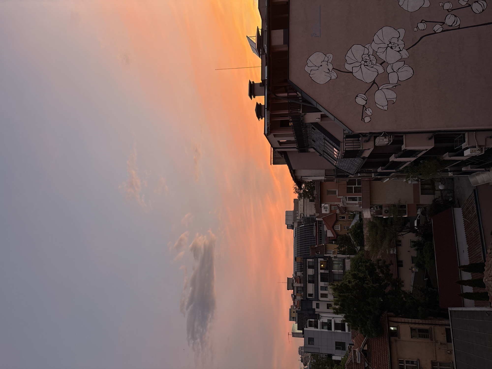 The image captures a cityscape of Sofia, Bulgaria, during a sunset. The sky displays a gradient of colors, from pale blue at the top to vibrant orange and pink hues closer to the horizon, with scattered clouds. In the foreground, a building with a muted pink facade features a large, stylized mural of white orchids. The building has several balconies with black railings and dark-tiled roofs. Adjacent to it are other buildings of varying architectural styles and heights, some with visible windows, balconies, and chimneys. Trees are interspersed among the buildings, and a few small lights are visible in some of the windows, suggesting it is early evening. The overall scene conveys a sense of urban twilight.