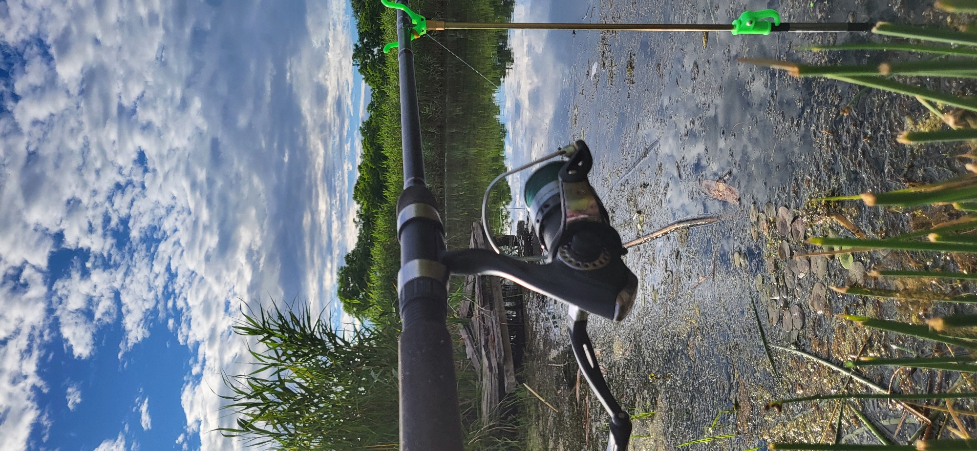The media file captures a serene fishing scene on a body of water, likely a river or lake, at Hetmanivka, Ukraine. The perspective is from behind a fishing rod, which is prominently featured in the foreground, its reel and handle visible. The rod is angled upwards towards a cloudy sky. Two green rod holders are attached to the fishing rod and another fishing rod in the background.
The water's surface is partially covered with green algae and aquatic plants, with reflections of the sky and surrounding vegetation visible. A line of trees forms a dense green border along the far bank of the water. The sky is a mix of blue and white clouds, suggesting it could be daytime, possibly late afternoon or early morning given the soft light.
In the background, a wooden structure or pier is partially submerged in the water, adding to the rustic charm of the scene. The overall atmosphere is tranquil and peaceful, evoking a sense of calm and relaxation associated with fishing and nature. No people are visible in the frame. The lighting and the reflections on the water suggest a mild, perhaps humid, weather condition. The presence of the fishing rods and reel indicates an ongoing fishing activity.