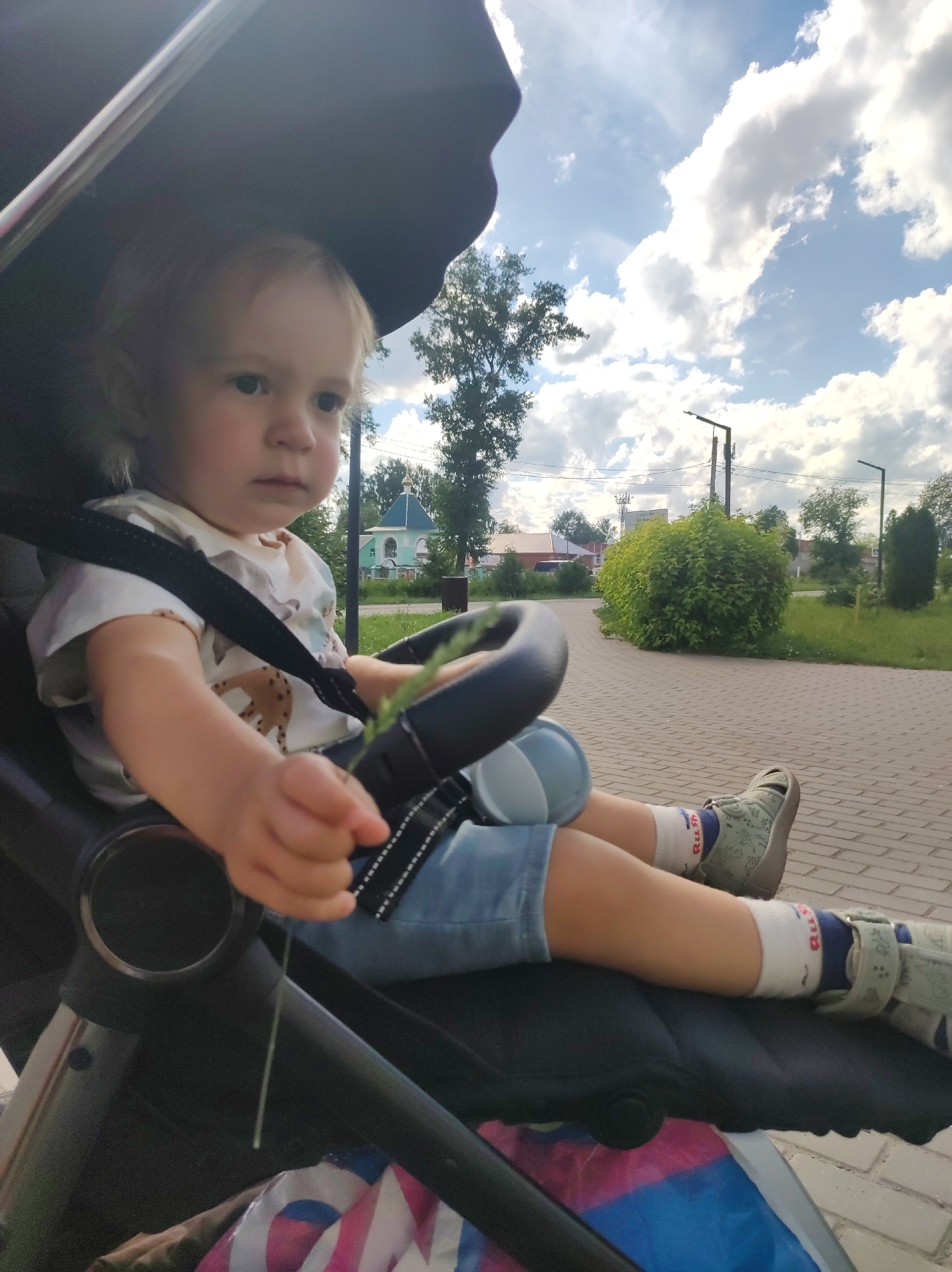 A young child with blonde hair and fair skin sits in a stroller. The child is wearing a light-colored t-shirt with a pattern of animals, denim shorts, and socks with blue and red writing. The child's left hand is holding a small green stalk. The stroller has a black frame and a dark canopy.
The setting appears to be an outdoor park or walkway in Chaikovsky, Russia. The ground is paved with light brown bricks. In the background, there are green trees, a large bushy green plant, and some buildings with light blue and green roofs. There are also lampposts visible.
The sky is blue with fluffy white clouds, suggesting it is daytime with fair weather. The lighting indicates it is likely a sunny afternoon. The child's expression is neutral, and the overall mood of the image is calm and casual, capturing a moment of the child enjoying being outdoors in the stroller. There is no visible text in the image.