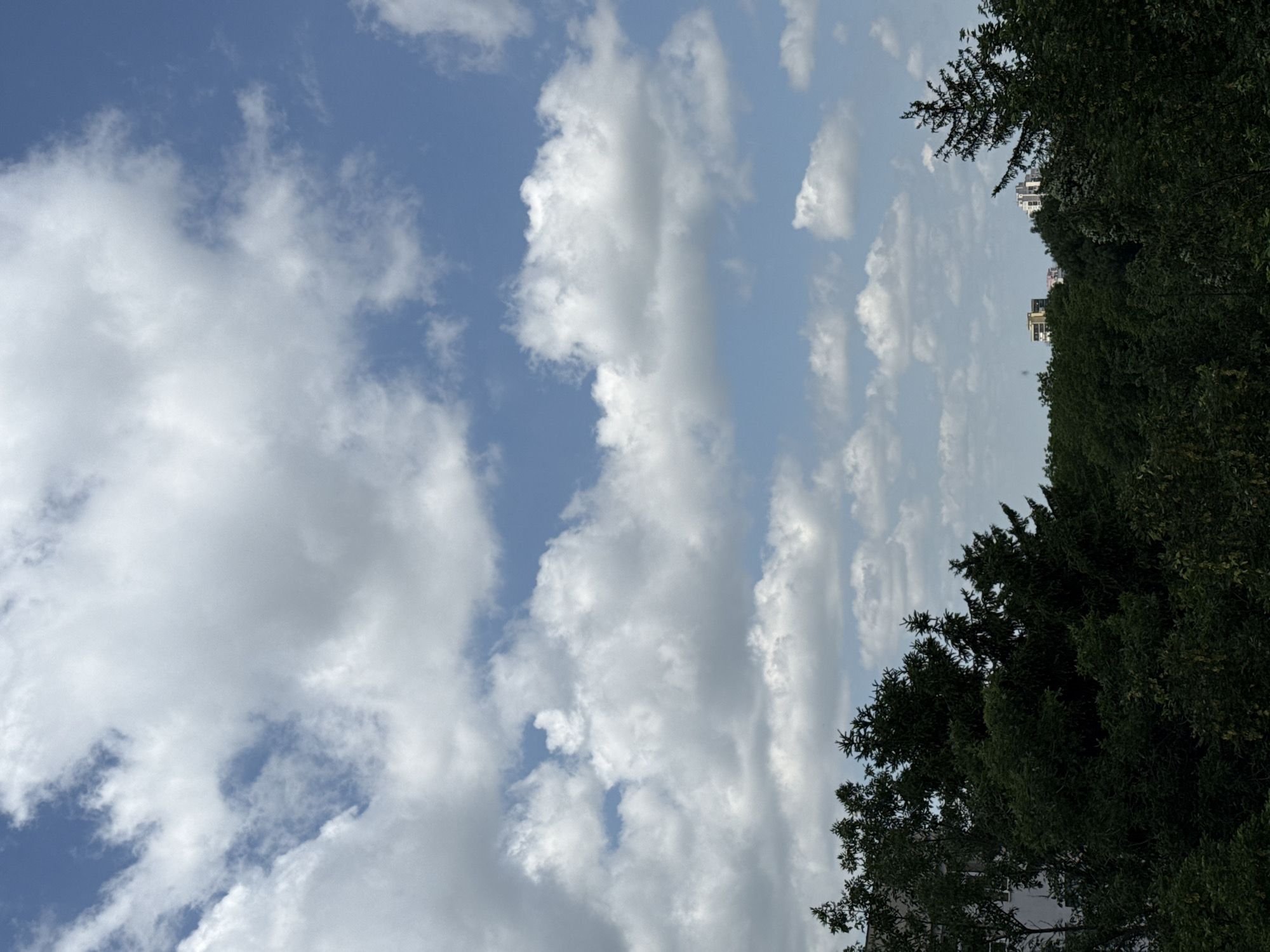 The image shows a partly cloudy sky with trees on the right side. The sky is blue with scattered white clouds. Trees line the right side of the image, appearing dark green. Some buildings are visible beyond the trees. The location is Pleven, Bulgaria.