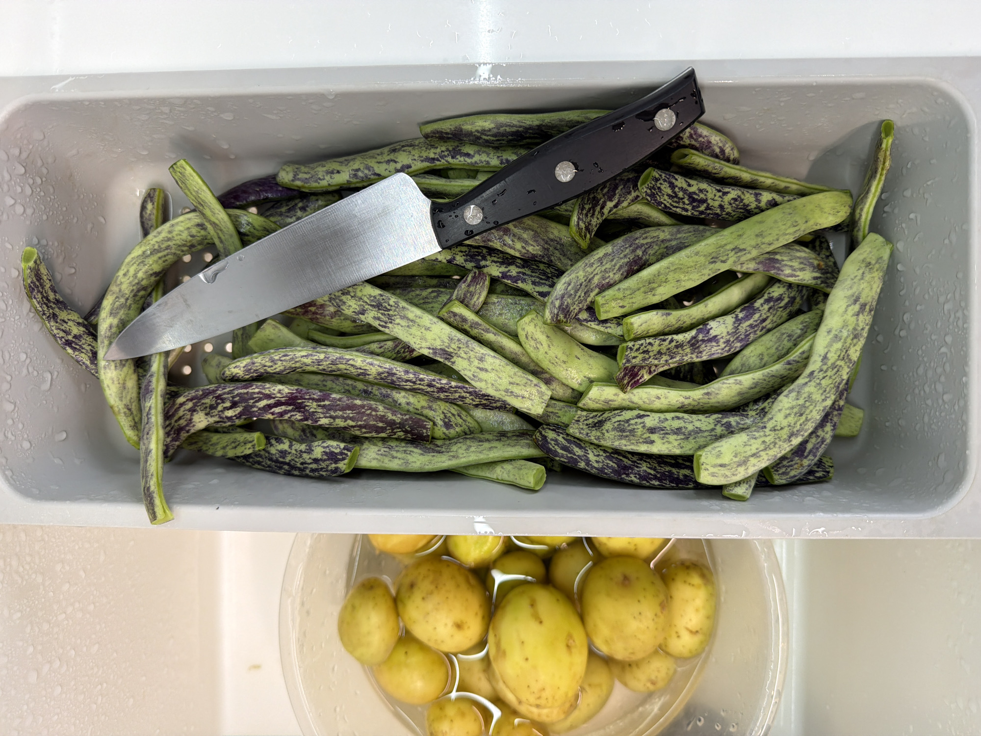 The image shows a gray container filled with dragon tongue beans, also known as borlotti beans. A knife rests on top of the beans. Below the container of beans is a clear plastic container with potatoes submerged in water. The image was captured in the city of Arinj, Armenia.