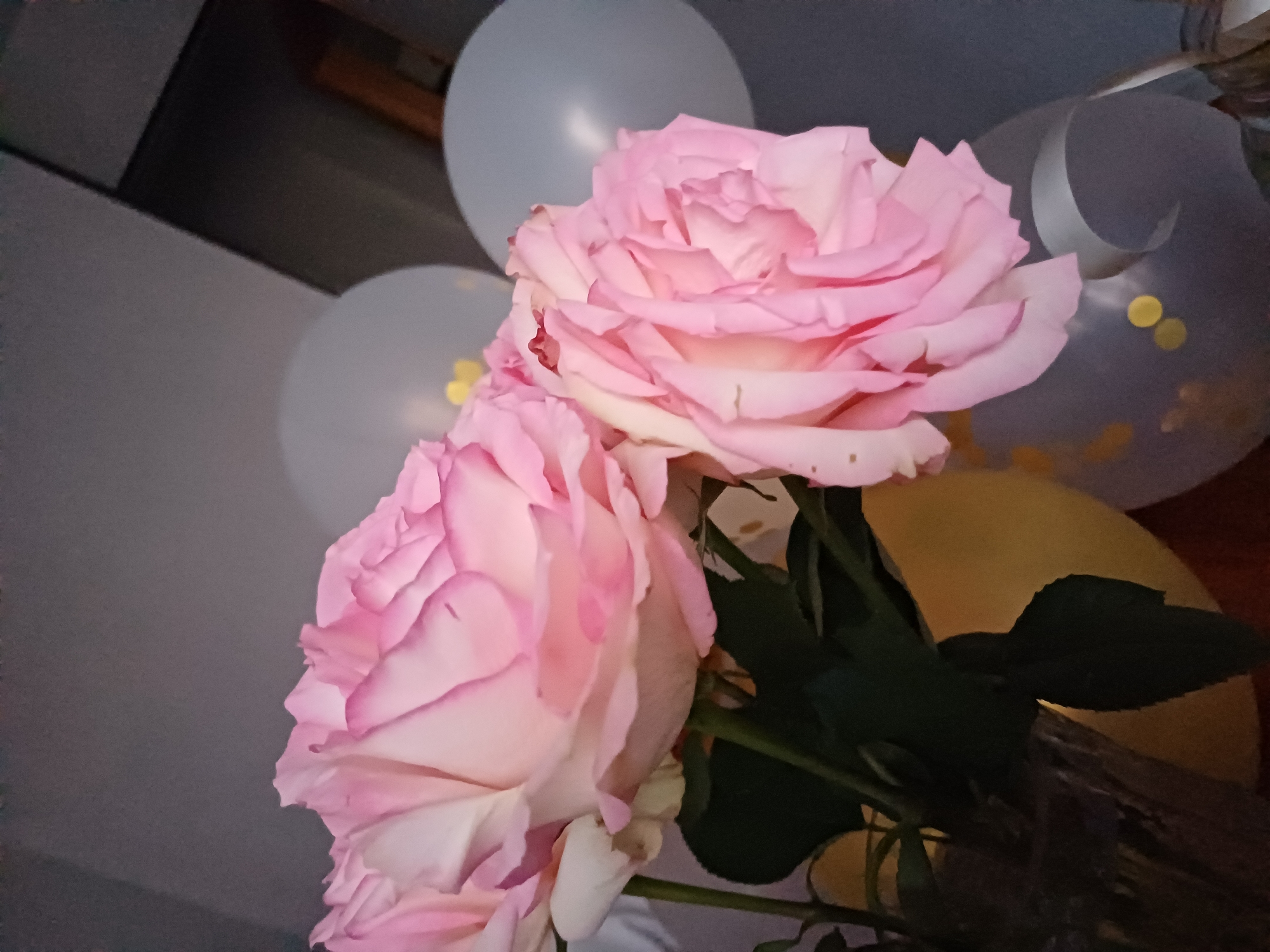 A close-up shot focuses on a bouquet of large, light pink roses with darker pink edges, arranged in a glass vase. Behind the roses, several muted grey and white balloons are visible, some with yellow confetti. The background is a muted grey wall. The scene appears to be indoors, likely a celebratory setting given the balloons and flowers. The lighting is dim, casting soft shadows. There are no people visible in the image.