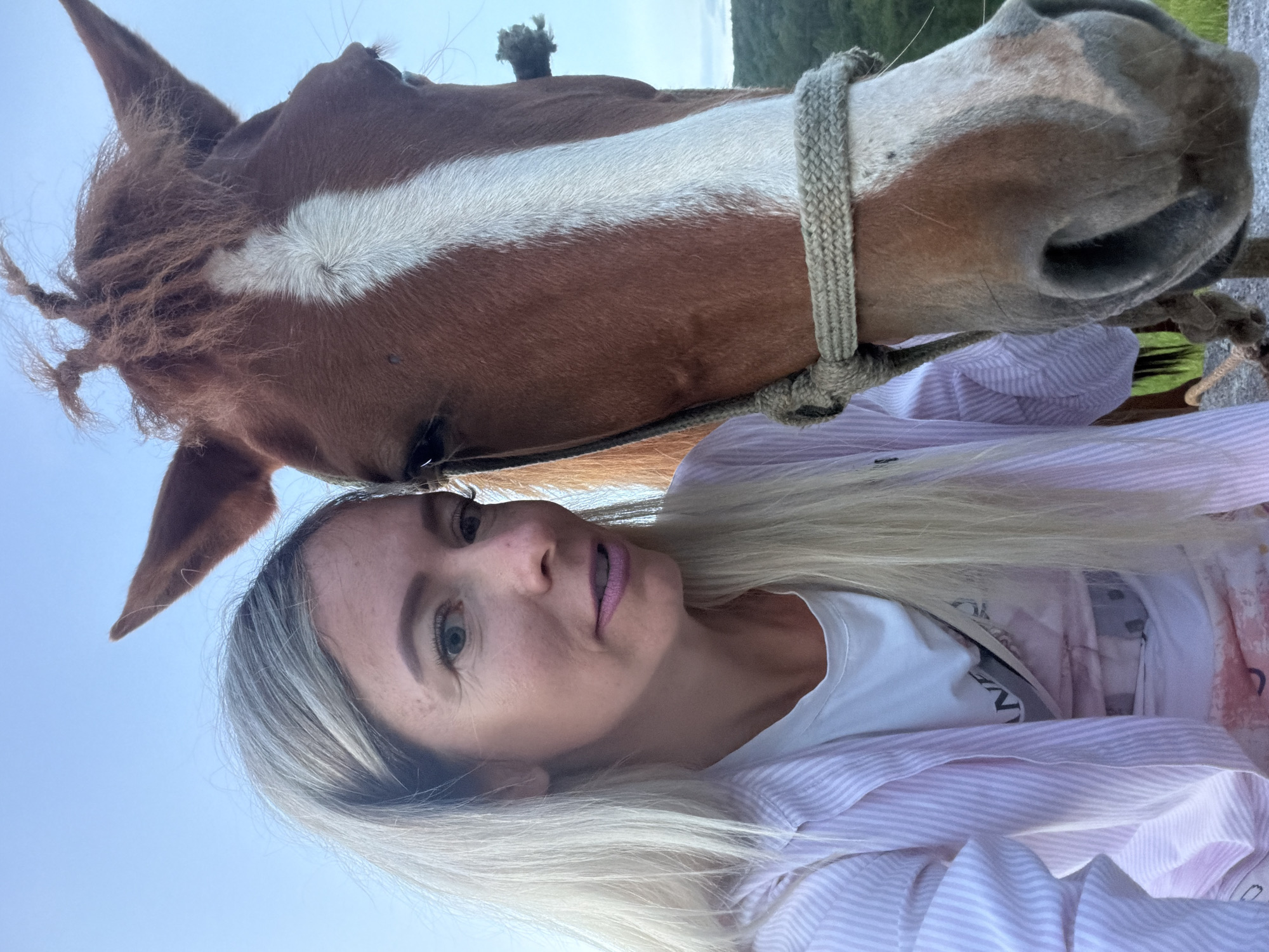 The image shows a close-up selfie of a woman and a horse. The woman has long blonde hair and is wearing a pink and white striped shirt over a white t-shirt. She is looking at the camera with a slight smile. The horse, a chestnut with a white blaze, is nuzzling the woman. The horse is wearing a rope halter. The background is a blurred blue sky with hints of green trees at the top. The lighting suggests it is daytime, possibly late afternoon given the soft light. The overall mood appears affectionate and peaceful. The scene is likely outdoors, given the sky and greenery. No text is visible in the image.