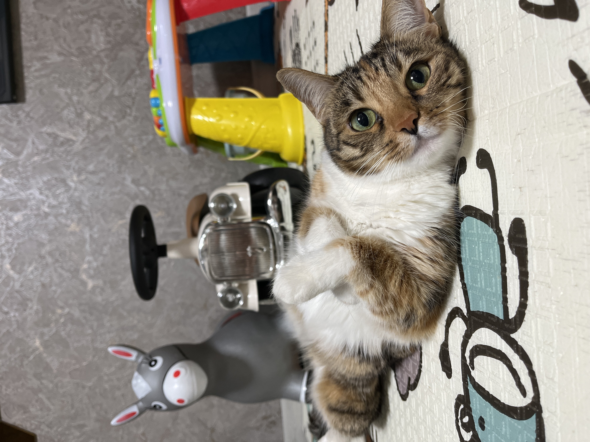 A calico cat is lying on its back on a play mat. The cat has green eyes and white, brown, and black fur. In the background, there are several toys, including a gray toy donkey, a small vintage-style toy car, and a colorful children's activity table. The background wall has a textured gray finish. The location is not specified in the image.