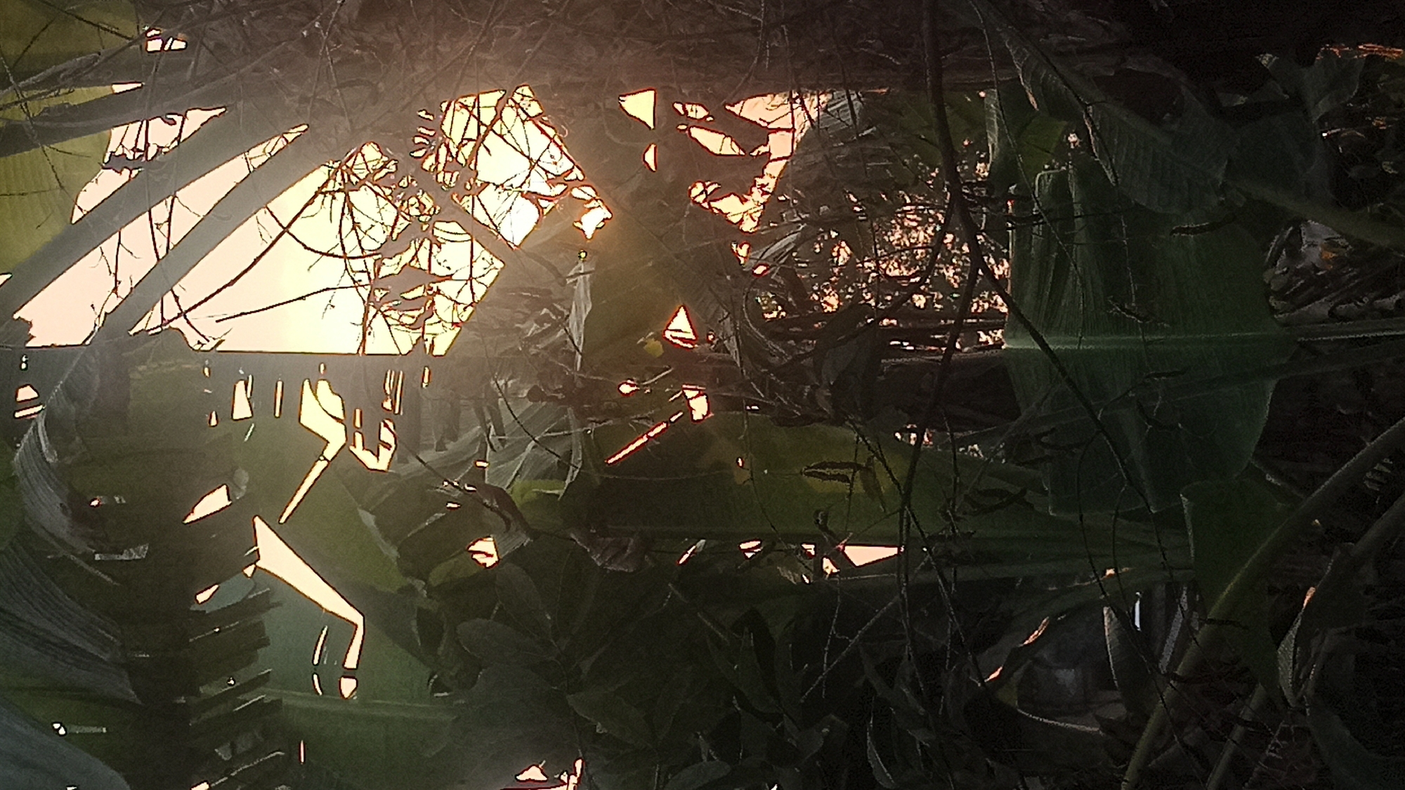 A vertical, close-up shot captures the interplay of light and shadow filtering through lush foliage, likely in Tuba, Indonesia. The scene is dominated by dark green banana leaves and the rough bark of tree trunks, with sharp, angular shapes of light piercing through the dense canopy. The setting sun casts a warm, orange glow that highlights the edges of the leaves and branches, creating a dramatic silhouette effect. The image conveys a sense of natural beauty and a moment of quiet observation within a tropical environment.