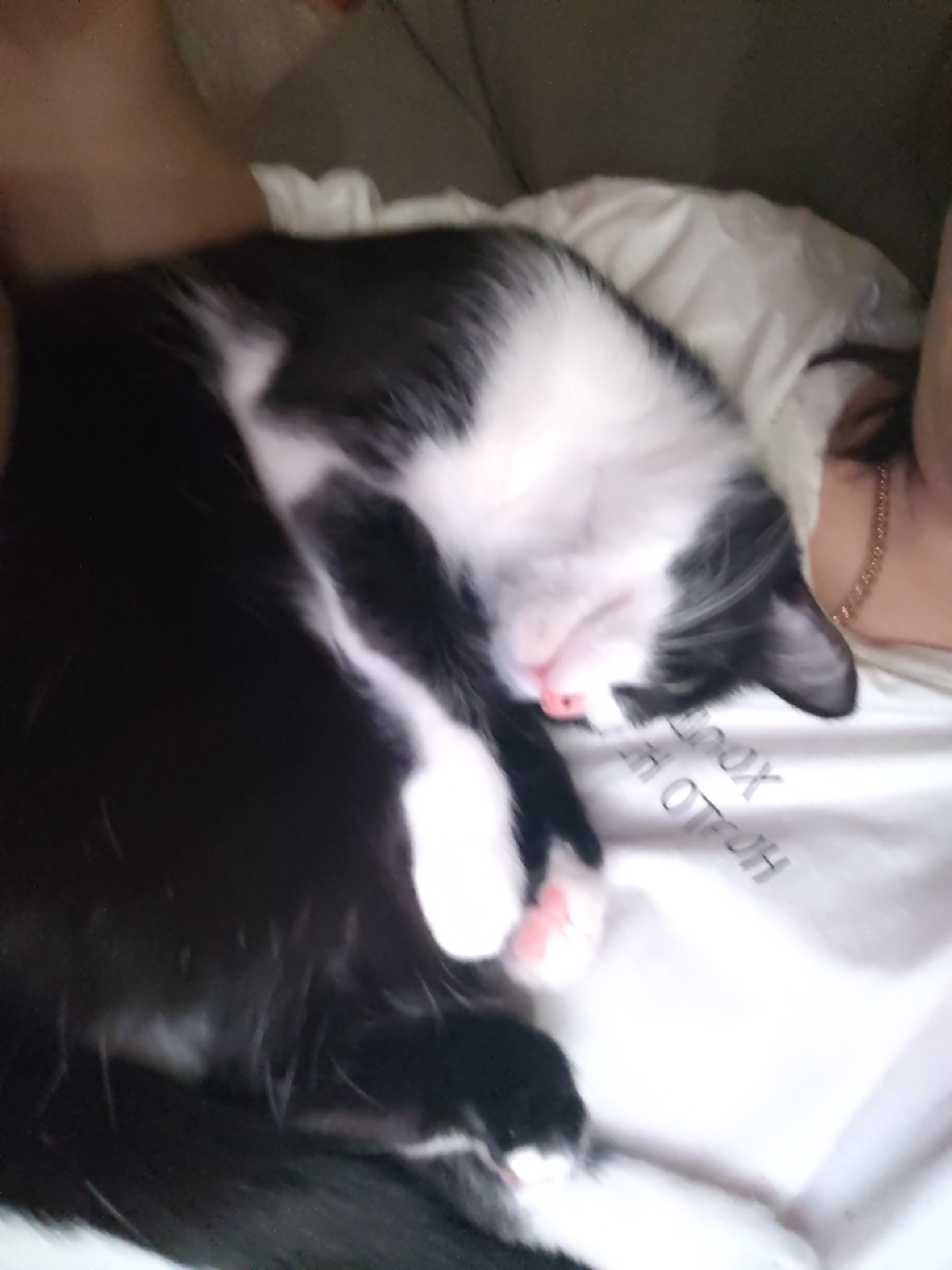 The image shows a black and white cat sleeping on a person. The cat is curled up with its paws near its face. The person is wearing a white shirt with the upside down words "HELLO HOX". A gold chain is visible around the person's neck. The environment appears to be indoors, likely a home. The location in the city is Unknown, Unknown.