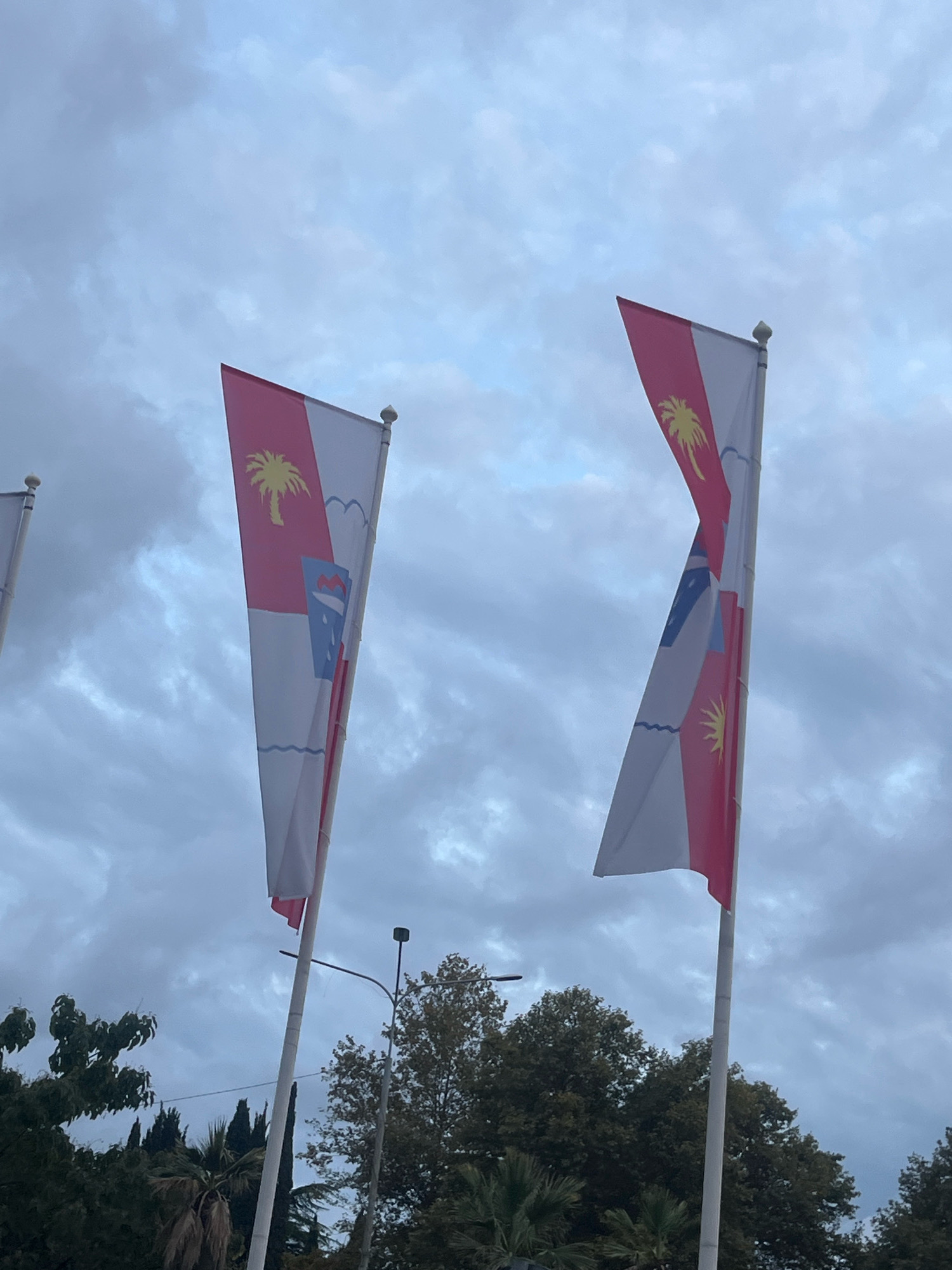 Two flags, identical in design, are displayed on flagpoles against a cloudy sky. The flags are vertical and feature a white background with a red vertical band on the left side. Within the red band, a yellow palm tree is depicted. The right side of the flag has a white background with a blue emblem that appears to be a shield with a red shape inside and wavy blue lines below. The flag on the right is angled to the right, while the flag on the left is angled to the left. In the background, there are green trees and a street lamp. The overall scene suggests an outdoor location, possibly a public area or park, given the presence of flags and greenery. The image quality is moderate, with some graininess due to low light conditions. The location is not specified in the image, but if this is in Sochi, Russia, it could be near a coastal area given the palm tree motif on the flags, or a park or public square.