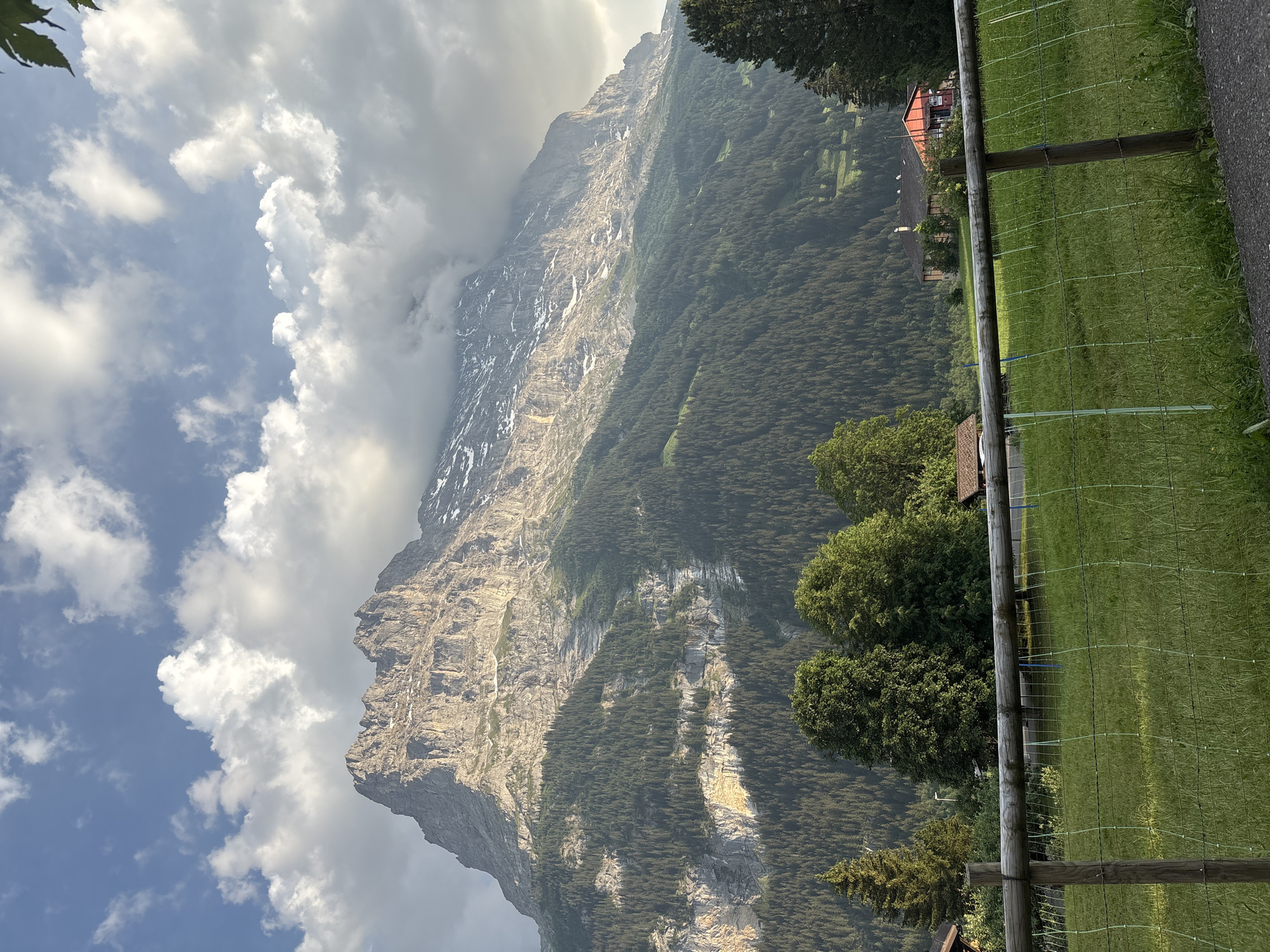 The image depicts a majestic mountain landscape in Grindelwald, Switzerland. A towering, rugged mountain face dominates the scene, its rocky slopes partially obscured by dramatic white clouds. Patches of snow are visible on the upper reaches of the mountain, contrasting with the deep green of the dense pine forest that covers its lower slopes. In the foreground, a vibrant green meadow stretches out, bordered by a rustic wooden fence. A winding road is visible on the far right. A few traditional Swiss chalets with red roofs are nestled among the trees in the middle ground, hinting at human habitation in this alpine setting. The sunlight breaks through the clouds, casting a warm glow on the mountain and meadow, suggesting it is late afternoon or early evening. The weather appears partly cloudy, with the sun creating bright highlights and soft shadows. The overall mood is serene and awe-inspiring, capturing the natural beauty of the Swiss Alps. No visible text is present in the image.