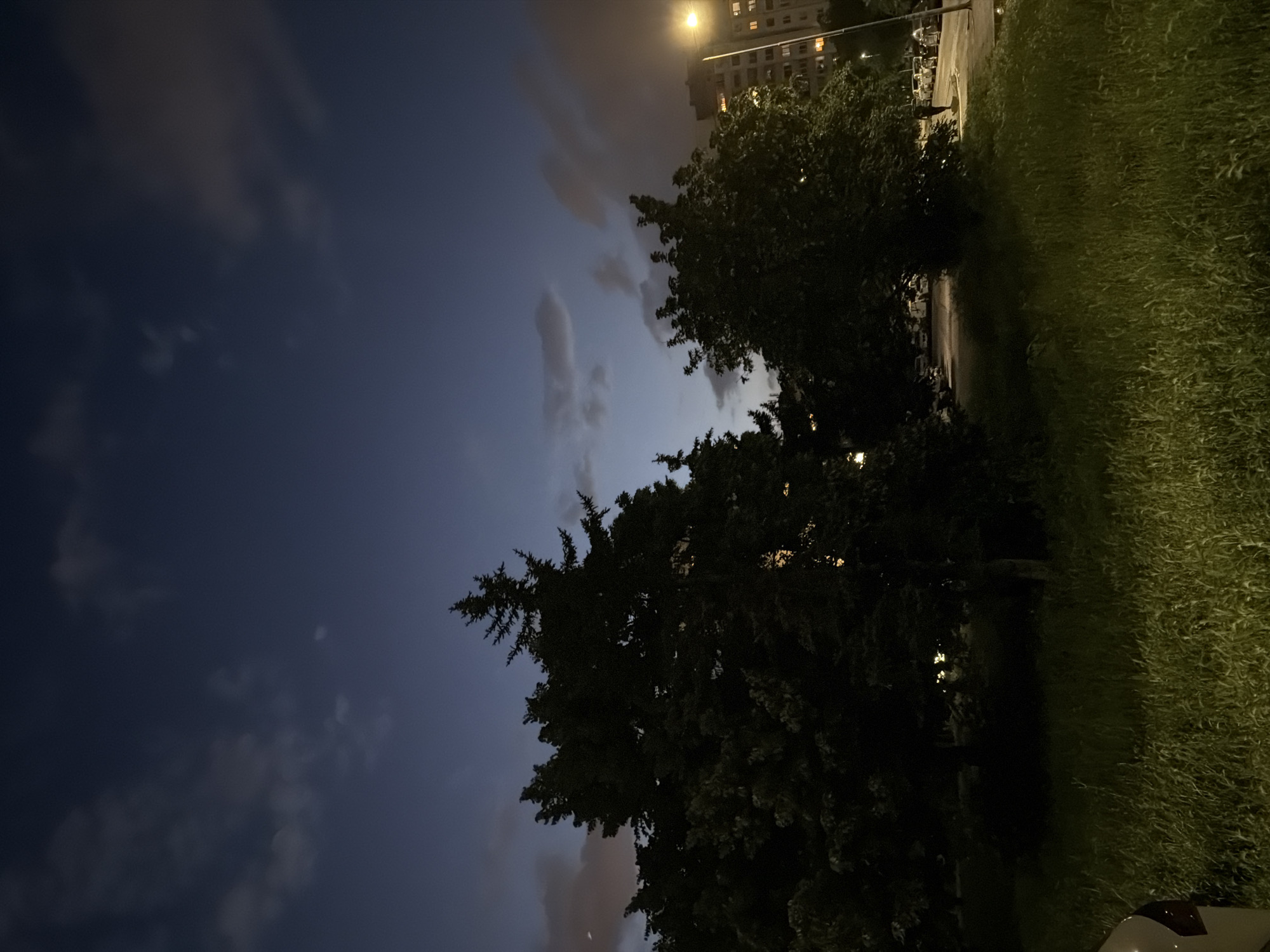 The image displays an urban night scene, set in Sofia, Bulgaria, characterized by a dark blue sky dotted with scattered, wispy clouds. The time of day is clearly night, indicated by the artificial illumination from streetlights and building windows.
On the left side of the frame, dense, dark silhouettes of several trees are prominent, their foliage creating intricate patterns against the twilight sky. Towards the center and right, a brightly lit patch of green grass extends from the foreground into the mid-ground, suggesting illumination from an unseen light source. A paved path or road runs between the trees and the grassy area, leading further into the scene.
In the upper right portion, a multi-story building stands, its numerous windows glowing with warm light, implying occupancy. A prominent, bright street lamp casts a strong yellow-white light, illuminating the upper part of the building and nearby foliage. At the very bottom right edge, a small portion of a light-colored vehicle, possibly a car, is visible.
The scene evokes a quiet, contemplative atmosphere of a city after dark, blending natural elements with urban infrastructure and artificial light. No people or visible text are present in the image.
