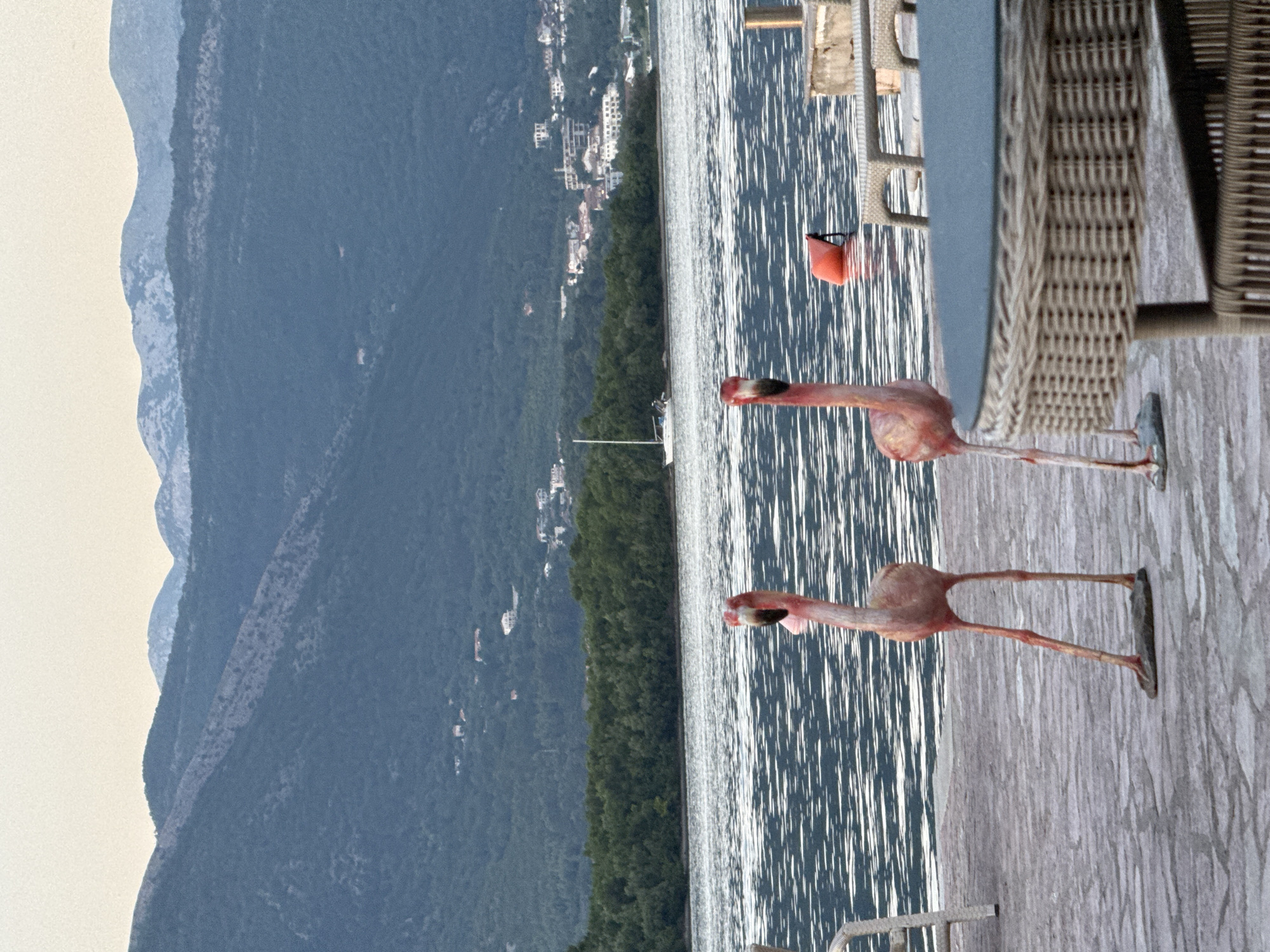 The image depicts a landscape with mountains in the background and water in the middle ground. The foreground features a wooden deck with two pink flamingo statues standing on it. A table and chairs, partially visible on the right side of the frame, suggest an outdoor seating area. The location is Bogišići, Montenegro, as identified in the prompt. The scene is set during daylight. The water reflects sunlight, creating a shimmering effect. The mountains are covered in trees, with some buildings visible near the shoreline.