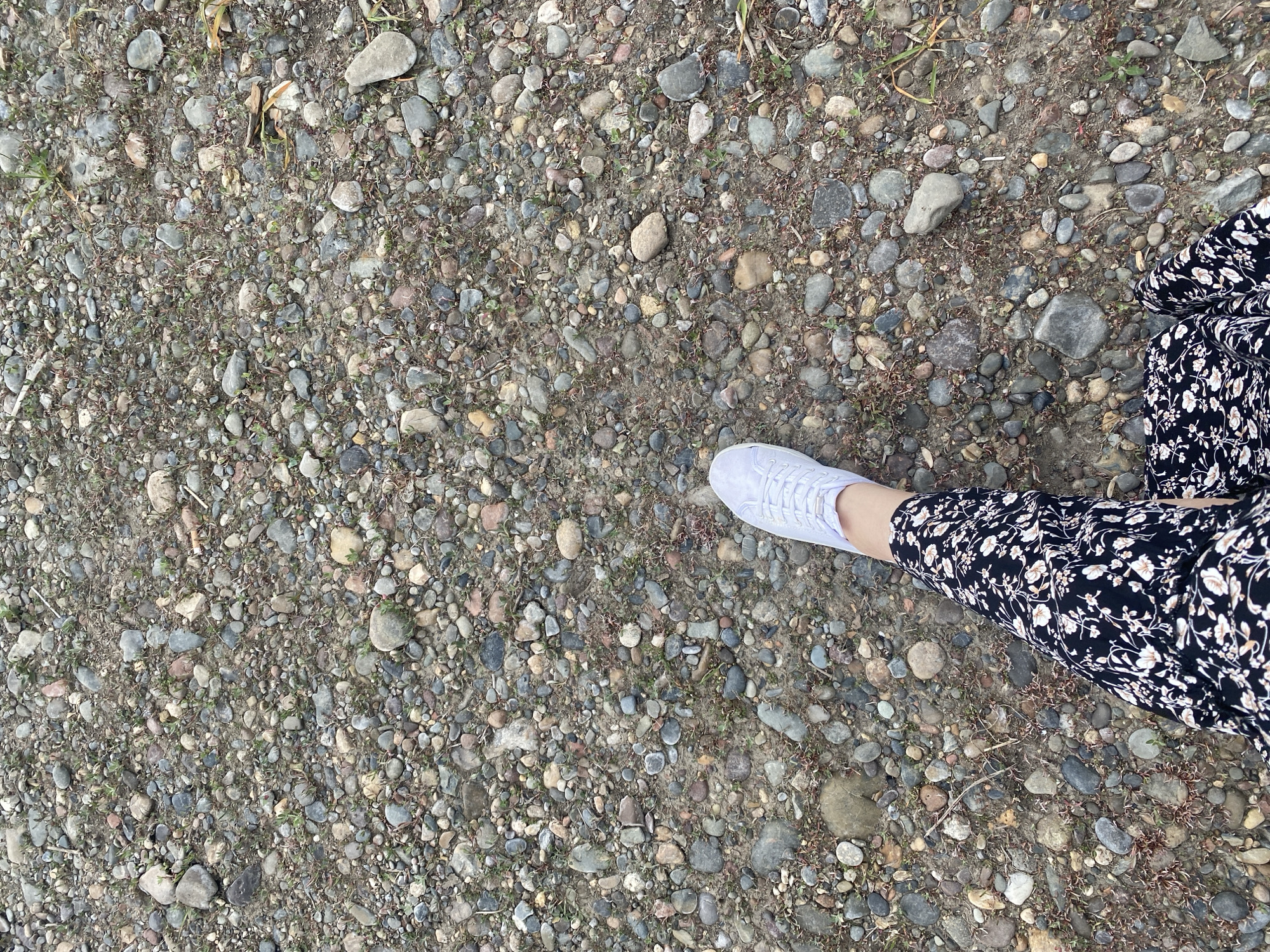 The image shows a person's legs and feet standing on a gravel path. The person is wearing a black skirt with a floral pattern and white sneakers. The gravel path is composed of various sizes of stones and pebbles, with some sparse green vegetation growing between them. The lighting suggests an overcast day. The location is identified as a gravel path in the city of Ust-Abakan, Russia.