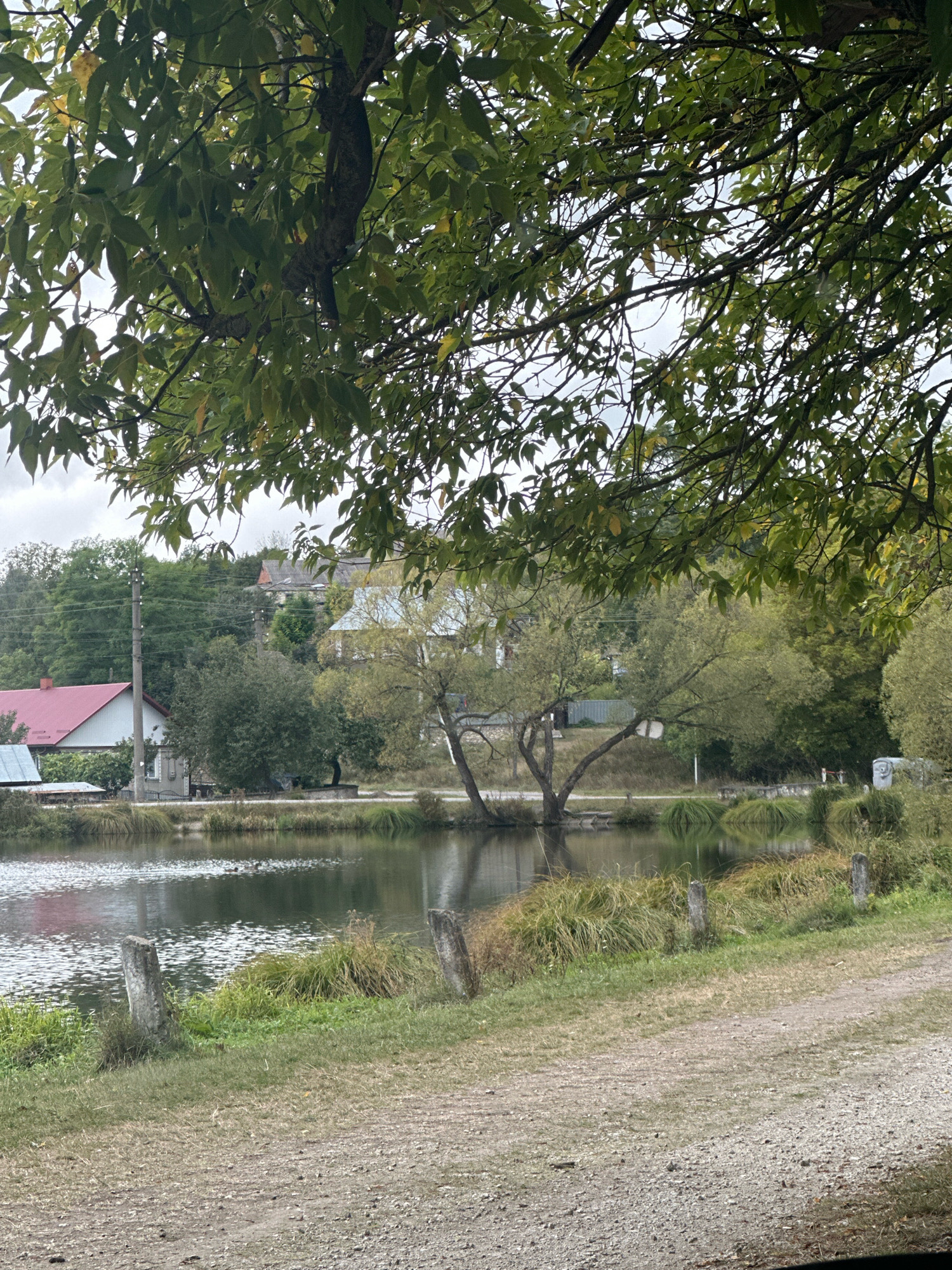 This is a ground-level, medium shot of a rural landscape with a body of water in the foreground, a village in the midground, and a tree-covered hillside in the background. The scene is located in Makiv, Ukraine, as indicated by the characteristic architecture and vegetation.
The foreground features a gravel path leading into the frame from the right. To the left of the path, a body of calm water reflects the overcast sky and surrounding greenery. Along the edge of the water, tall, dry grasses grow alongside several weathered, rough-hewn stone posts.
In the midground, across the water, a small village is visible. Several houses with red and grey roofs are nestled amongst trees. One house on the left has a distinct red roof. Power lines stretch across the scene, supported by poles. Further back, the land rises into a gentle slope covered with dense green trees, with a few buildings visible on the higher ground. The overall atmosphere is serene and bucolic, suggesting a quiet, rural setting. The presence of trees with some yellowing leaves indicates it may be late summer or early autumn.