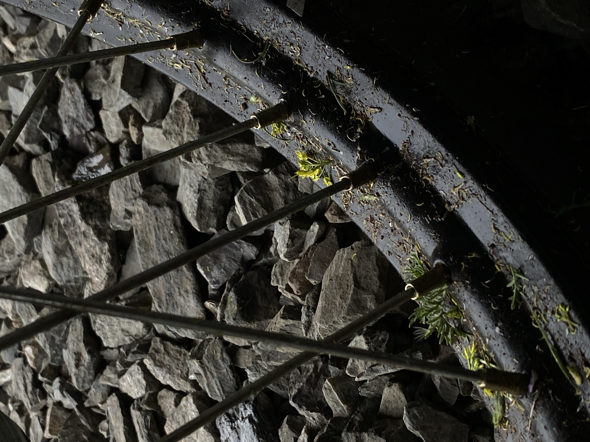 A close-up shot reveals a black bicycle wheel partially obscured by a pile of gray gravel. Green vegetation is trapped between the wheel and its spokes. The scene is poorly lit, with the upper portion of the wheel shrouded in darkness.