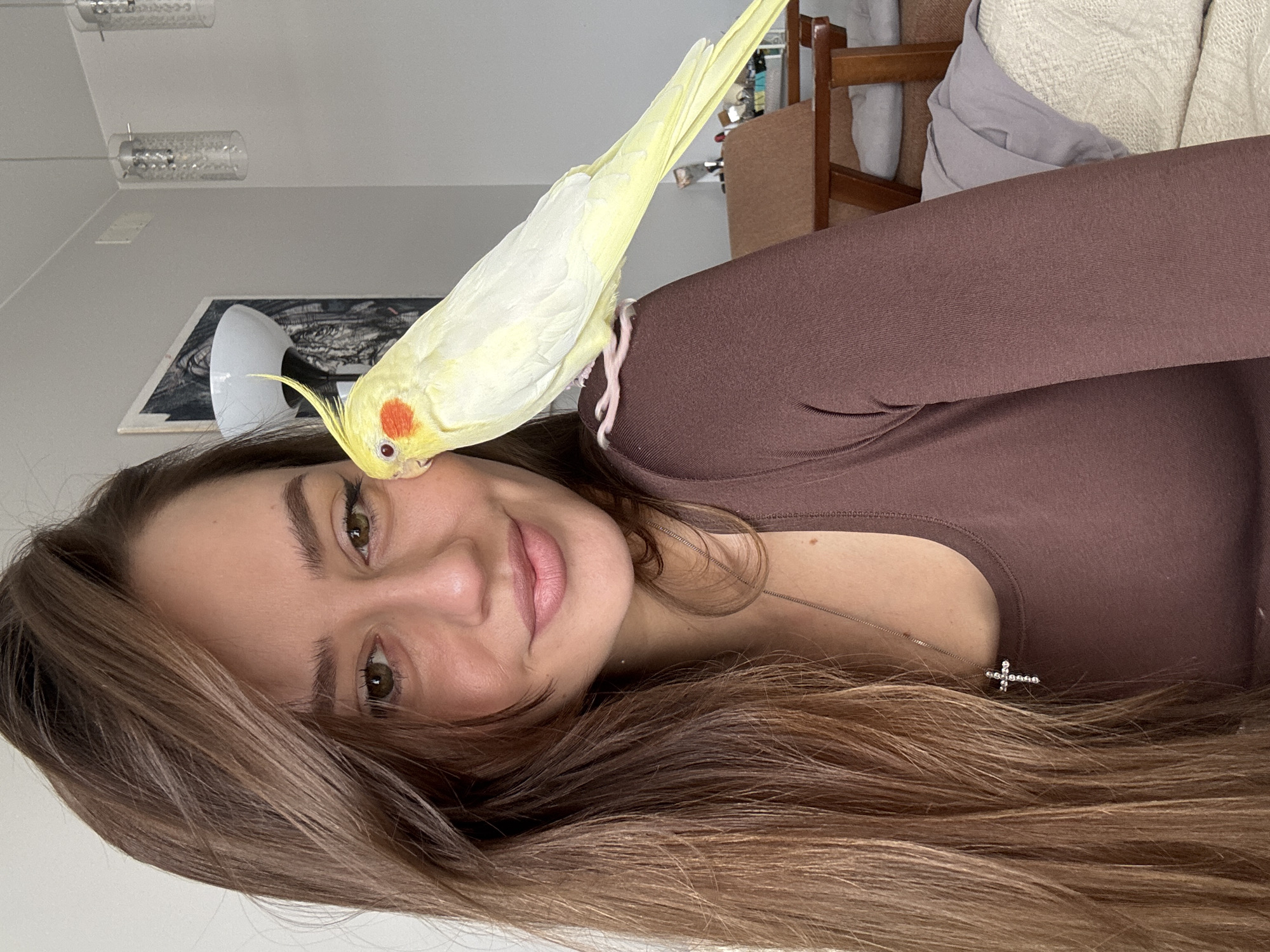 A young woman poses indoors with a light yellow cockatiel perched on her face. The woman has brown hair and is wearing a brown long-sleeved shirt with a cross necklace. The cockatiel has orange cheek patches and a long tail. In the background are hanging lights, a picture, and furniture. There is no evidence the location is in Krasnoyarsk, Russia.