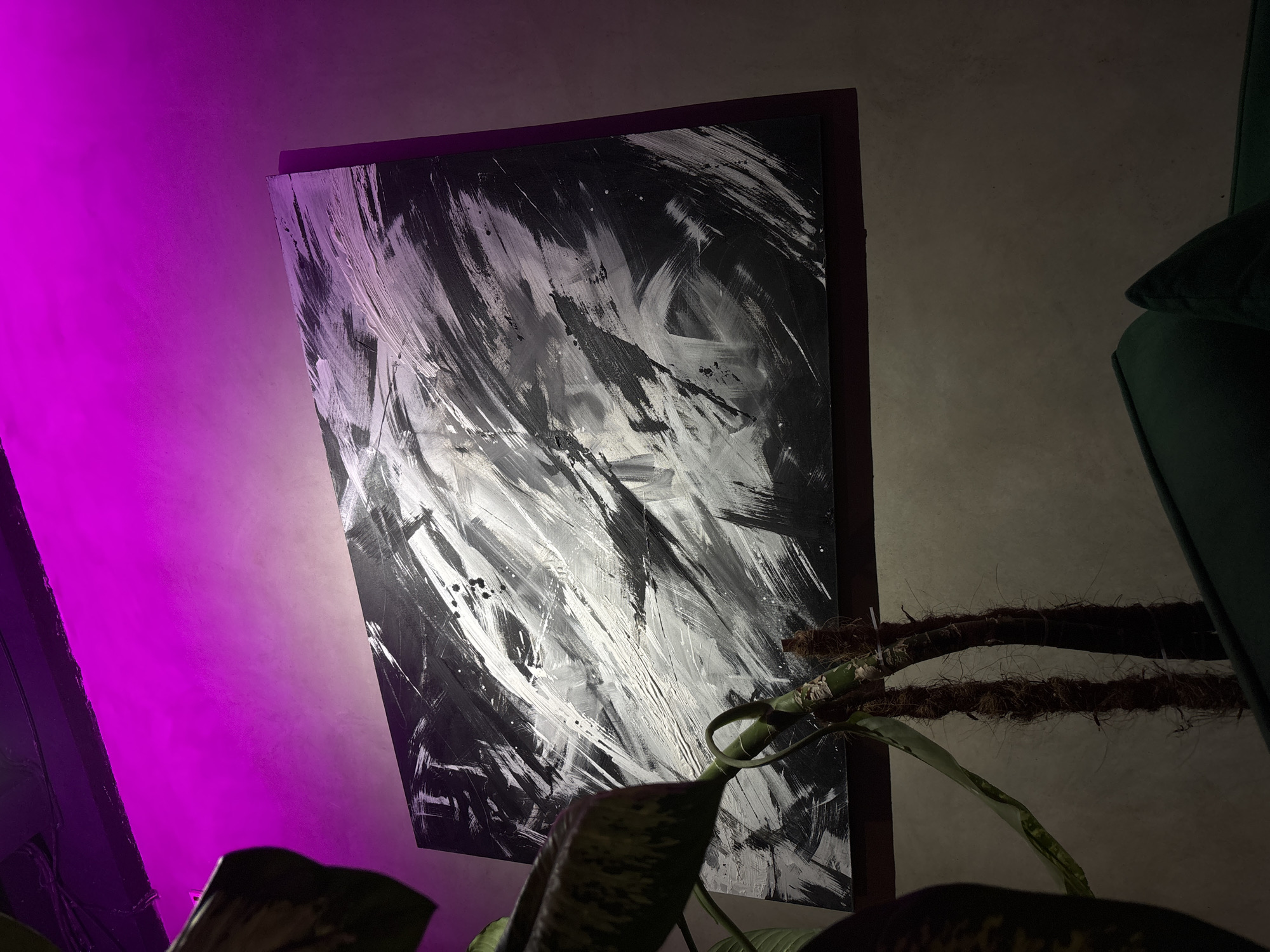 An indoor scene features an abstract painting illuminated by dramatic lighting, with a large plant in the foreground. The painting, prominently displayed on a wall, is characterized by dynamic, expressive brushstrokes in black, white, and various shades of grey, creating a sense of movement and texture. Splatters of paint are visible across its surface.
To the left of the painting, a strong magenta or purple light washes over the wall, casting a vibrant hue that contrasts with the muted, neutral tone of the wall to the right. The lower right foreground is occupied by a tropical-looking plant, possibly a Monstera or Philodendron, with large, dark green leaves and multiple aerial roots climbing along moss poles. A dark green sofa or cushion is partially visible on the far right, suggesting a seating area.
No people are visible, and no discernible activity is taking place. The artificial lighting, particularly the magenta glow, suggests the image was taken during the evening or night, creating an atmospheric and artistic ambiance within what appears to be a modern interior space in Kuta Selatan, Indonesia. No visible text is present in the image.