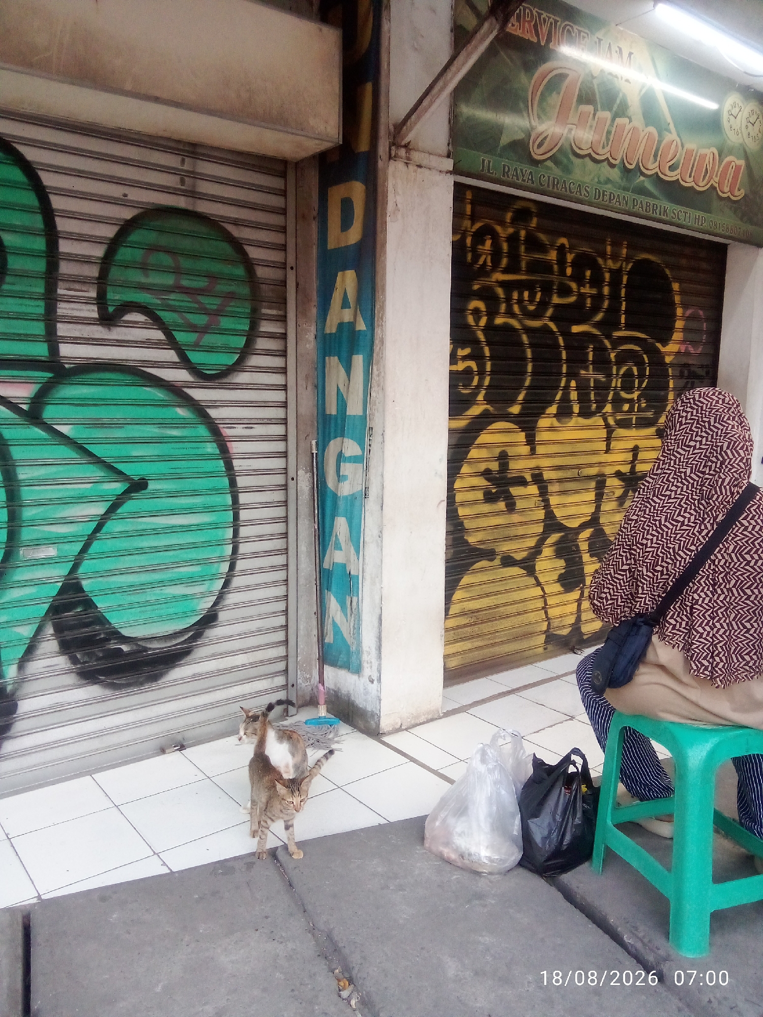 The image shows an outdoor scene in front of a storefront in East Jakarta, Indonesia. The storefront has roll-up metal doors, one of which is graffitied with large green shapes and outlines. Next to it, another roll-up door is covered in yellow graffiti. A vertical blue sign with yellow lettering, partially obscured by graffiti, is mounted on the wall between the two doors. Above the doors, a faded green sign with cursive text reads "Junewa" and "SERVICE JAM." Below this, smaller text indicates "JL. RAYA CIRACAS DEPAN PABRIK SCTI HP. 0815880710."
In the foreground, two cats are standing on a tiled sidewalk. The cat in front is a tabby, and the cat behind it is a mix of tabby and white. They appear to be interacting. To the right of the cats, two plastic bags are placed on the ground, one clear and one black. A person wearing a patterned headscarf and striped pants is seated on a green plastic stool to the right of the bags, facing away from the camera. A dark blue bag is slung over their shoulder.
The overall environment suggests a commercial street with closed shops. The date and time stamp "18/08/2026 07:00" is visible in the bottom right corner.