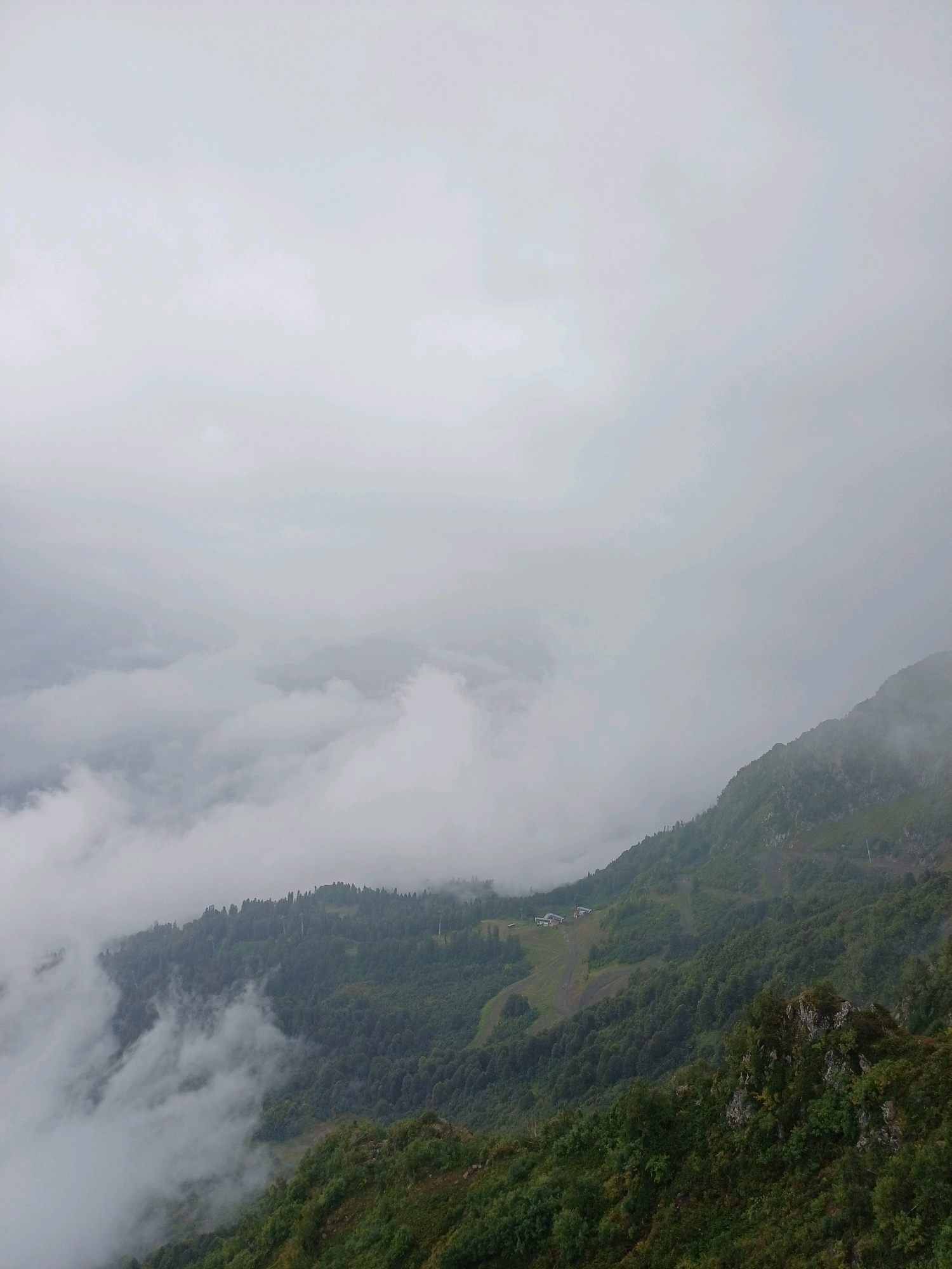 The image depicts a misty mountain landscape in Estosadok, Russia, possibly during a cloudy or foggy day. The foreground features dense green foliage and rocky outcrops on a steep slope. In the midground, a lush, tree-covered mountainside descends into a valley where white buildings, possibly part of a resort or settlement, are visible. A clearing or a ski slope can be seen leading up to the buildings. In the background, a mountain range is partially obscured by thick white clouds and mist, creating a sense of depth and atmosphere. The sky is overcast and light gray, contributing to the diffused lighting of the scene. There are no people or animals visible in the image.