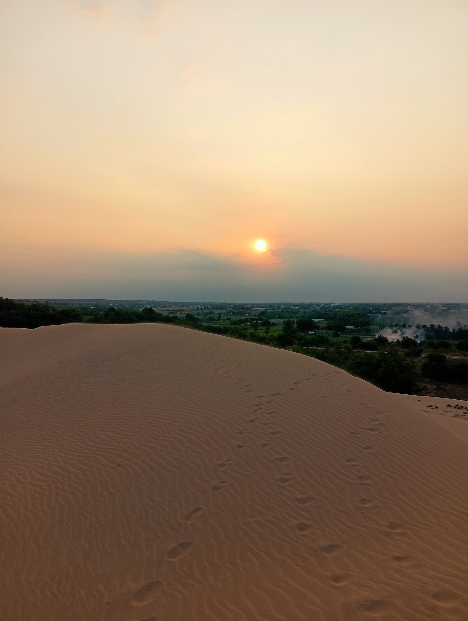 This image captures a vast desert landscape at either sunrise or sunset, specifically in Phuoc Dinh, Vietnam. The foreground is dominated by a large, undulating sand dune, rendered in warm, earthy tones. Its surface is intricately patterned with wind-blown ripples, and numerous human footprints are visible, trailing across the dune, indicating recent presence.
The sky above displays a soft gradient of orange and yellow, characteristic of twilight. The sun, a bright and luminous disc, is visible low on the horizon, partially obscured by light clouds or atmospheric haze, casting a warm glow across the scene.
Beyond the immediate sand dune, a strip of green vegetation stretches across the horizon, delineating the edge of the desert. Within this distant landscape, small buildings or settlements can be discerned, suggesting a nearby village or town. To the right of the distant settlement, plumes of white smoke are rising into the sky, hinting at some form of human activity, possibly burning. The overall scene evokes a sense of tranquility and the natural beauty of a desert environment at a golden hour. There is no visible text in the image.