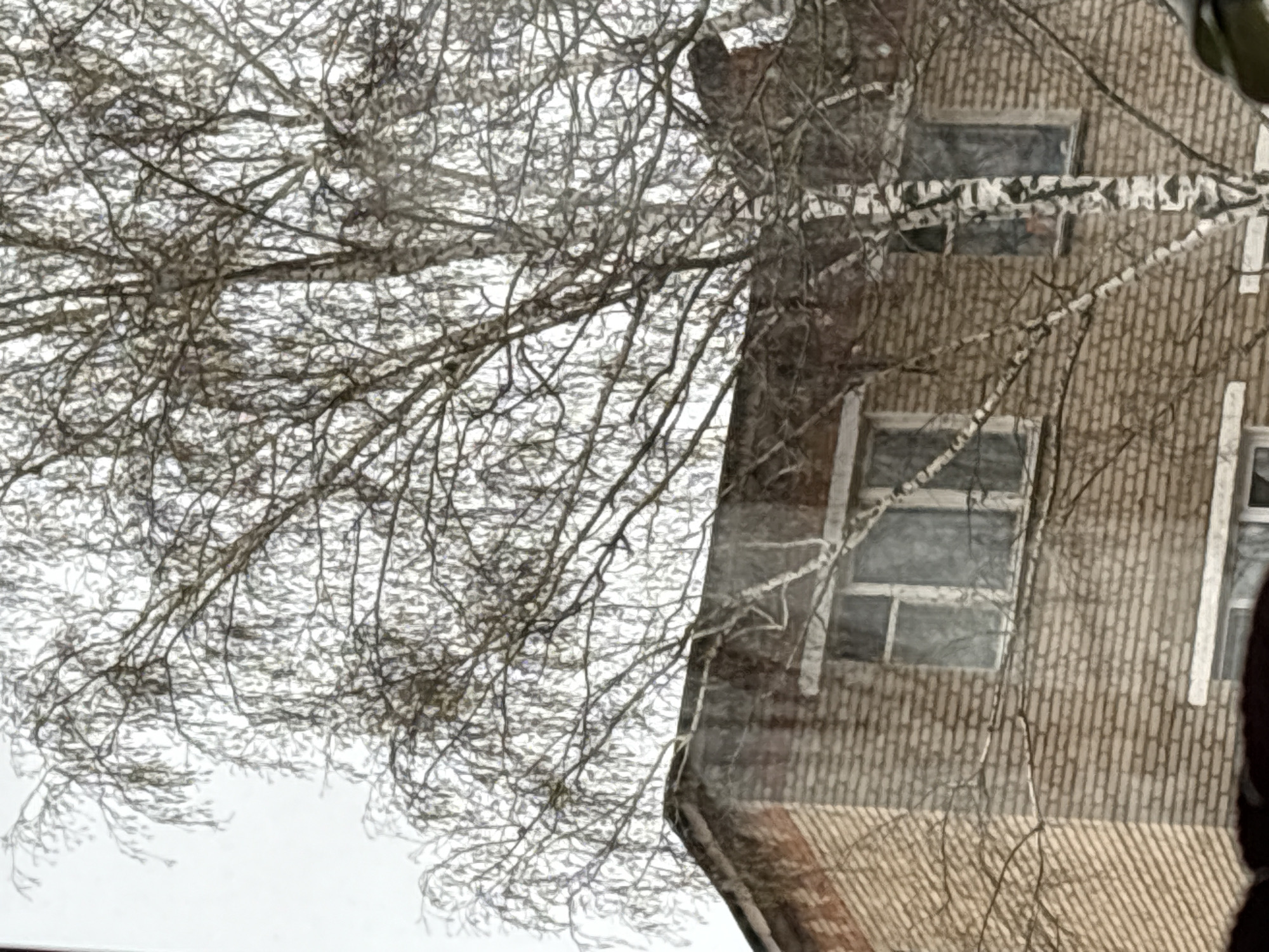 The image shows a building exterior in Klin, Russia, viewed through a window. A bare tree is visible, its branches obscuring part of the building. The building has brick walls and several windows with white frames. The sky is overcast.