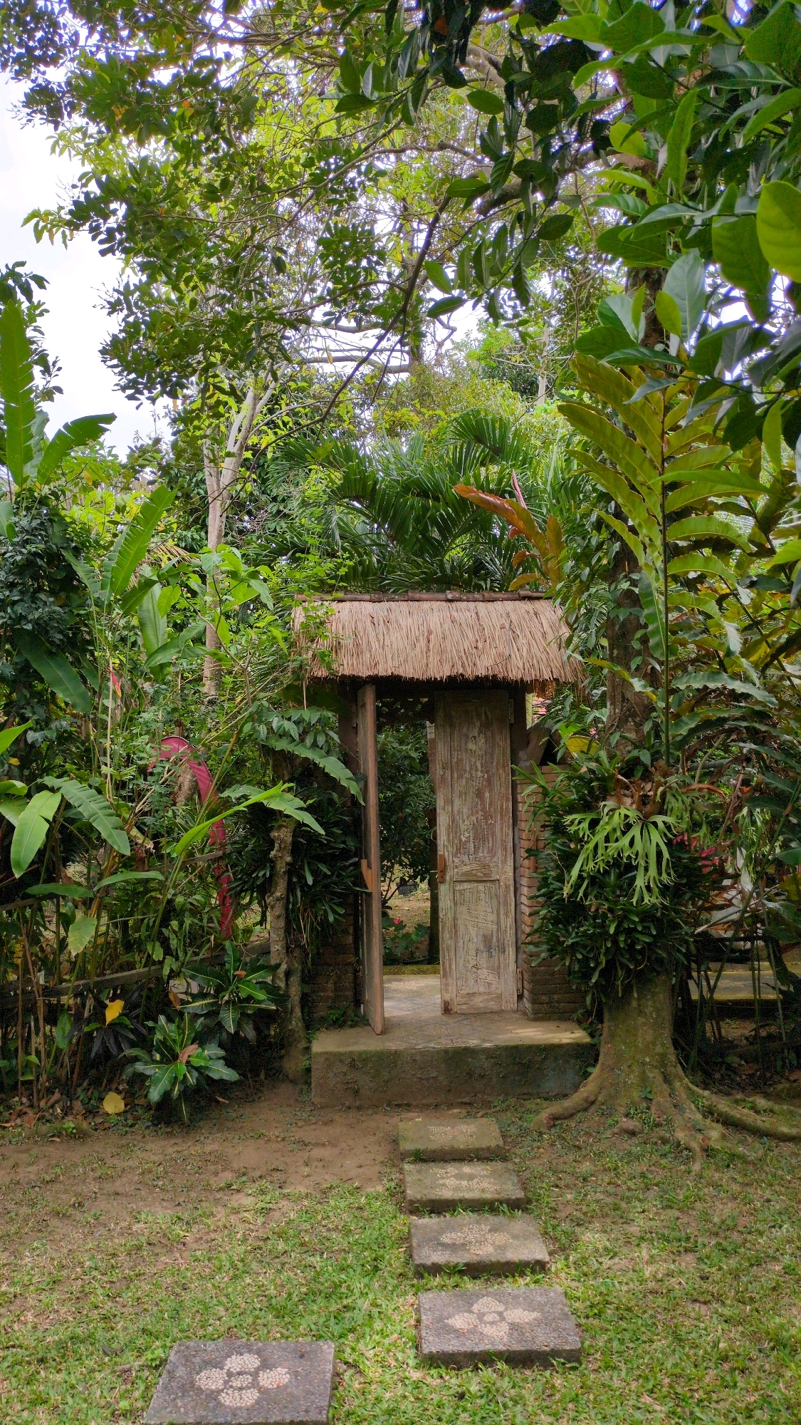 A weathered, rustic wooden door stands open amidst lush tropical foliage in Ubud District, Indonesia. The doorway is framed by brickwork and topped with a thatched roof. A stone pathway, marked with decorative patterns, leads to the entrance across a patch of grass and damp earth. The surrounding environment is dense with various green plants, including large-leafed varieties and ferns. Sunlight filters through the canopy of trees overhead, creating dappled light on the scene. The overall impression is one of a secluded, natural retreat.