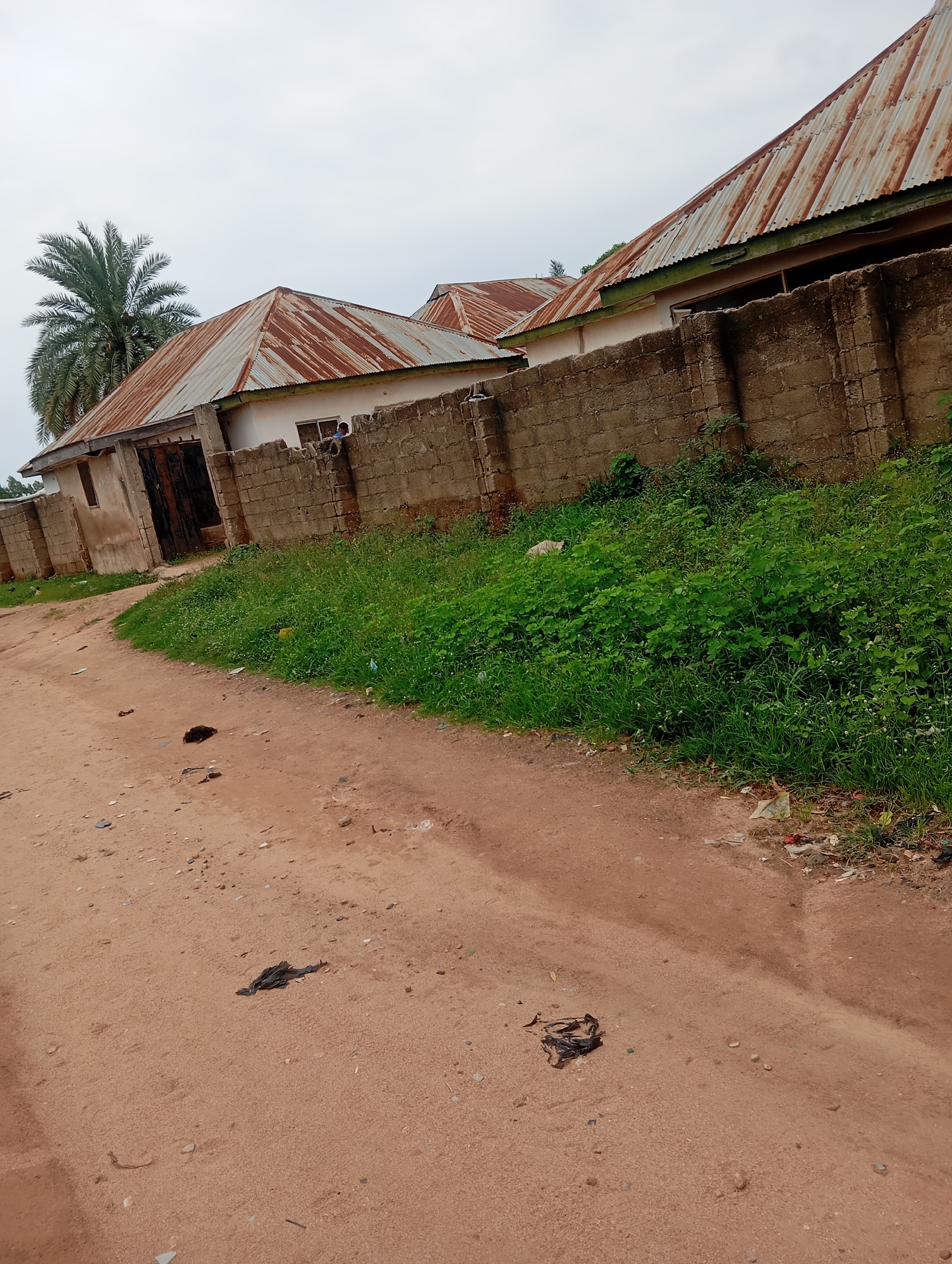 The image depicts a street scene in Jalingo, Nigeria, characterized by its dusty, reddish-brown dirt road. Several structures with corrugated metal roofs, showing signs of rust, line the right side of the road. These buildings are separated from the road by a low, grey concrete block wall. Dense green vegetation grows along the wall. A tall palm tree is visible to the left of the buildings. The road itself is sparsely littered with small debris. The sky is overcast and grey.