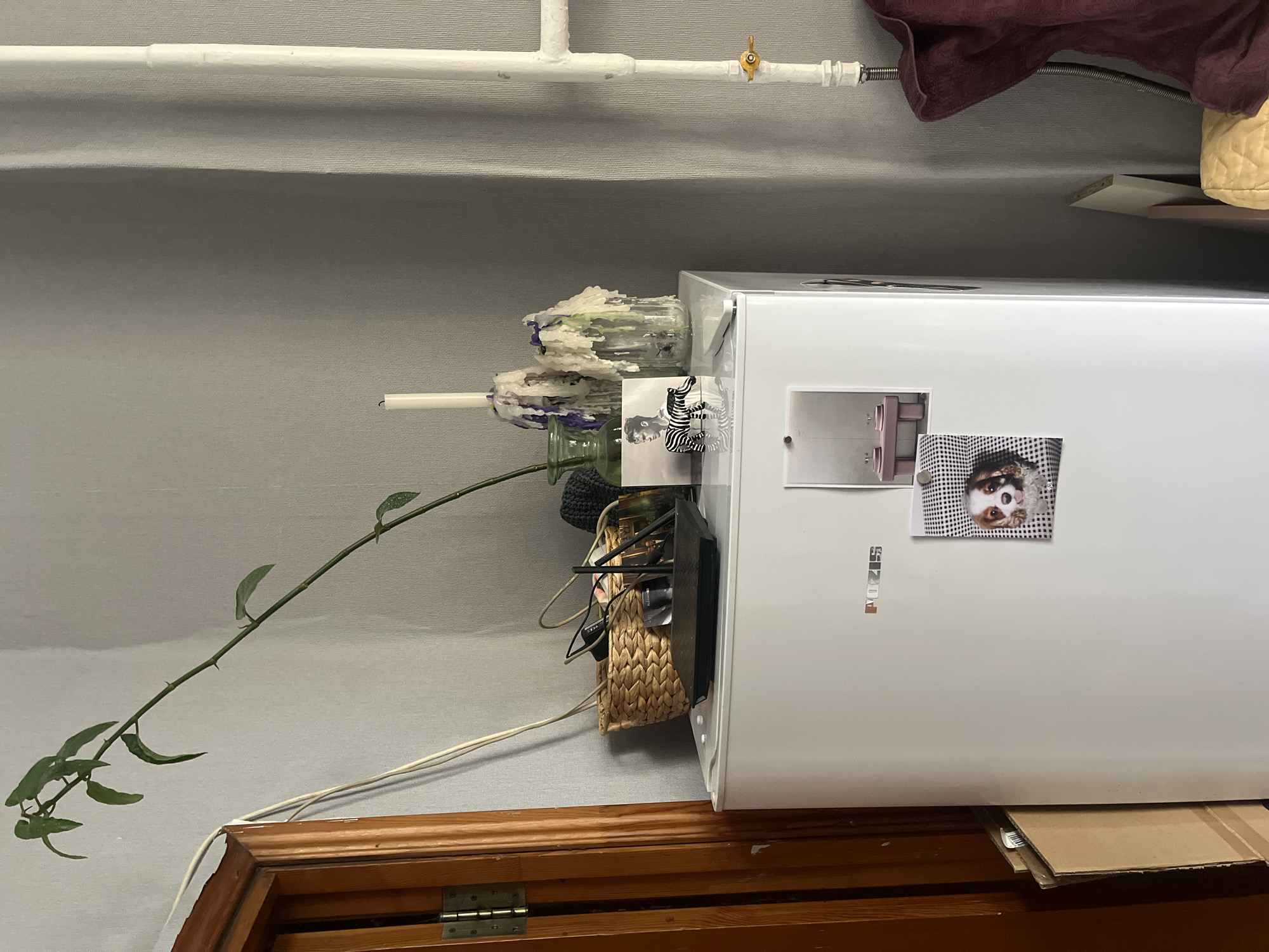 The image shows a cluttered domestic interior. A white refrigerator is positioned near a dark wooden cabinet. The refrigerator is adorned with magnets and pictures. A climbing plant extends from the side of the refrigerator and up towards the ceiling. Above, painted pipes run along the ceiling. The background is a grey wall. A basket containing dark objects sits atop the cabinet next to the refrigerator. The location is possibly in Перовское сельское поселение, Ukraine.