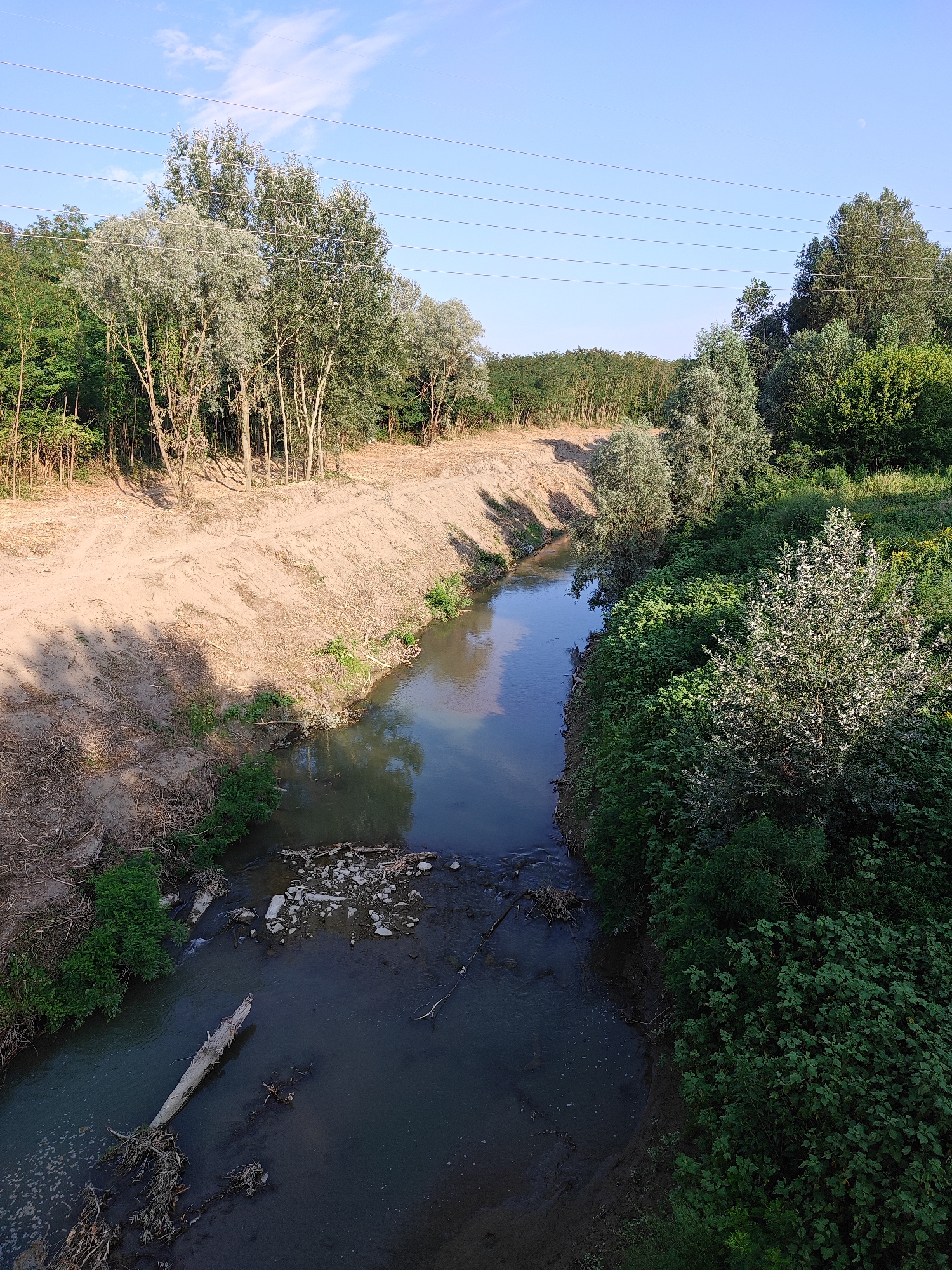 The image captures a scenic view of a canal or small river flowing through a vegetated area. The canal is bordered by a sandy embankment on the left, with trees and foliage on both sides. On the left bank, the sandy slope shows signs of erosion and has sparse vegetation. The right bank is densely covered with lush green bushes and trees, with a prominent white-flowered bush in the foreground. The water in the canal is dark and reflects the blue sky. Debris, including rocks, branches, and a large fallen log, is visible in the water and along the banks, suggesting a natural or semi-natural state. The sky is clear with a few wispy clouds, and power lines are visible stretching across the upper portion of the image. The overall scene appears to be in a rural or semi-rural setting. This location is identifiable as a canal in Castelfranco Emilia, Italy, based on the distinctive landscape and the presence of similar canals in the area.