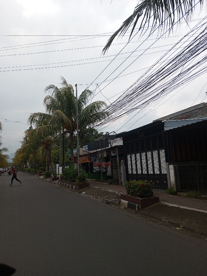 An outdoor street scene in Daringbadi, India, is depicted under an overcast sky. A dark asphalt road occupies the foreground and midground, extending towards the upper left. One male individual, dressed in a red short-sleeved top, dark lower garments, and light-colored shoes, is positioned on the left side of the road, mid-stride, moving from the lower-left towards the central-left of the frame, traversing the road.
To the right of the road, an elevated concrete sidewalk runs parallel to the asphalt. A row of buildings borders the sidewalk. The most prominent structure in the midground on the right features a dark facade with a large, dark gate intricately patterned with white, ornate floral designs. Further along the street, other buildings display varied architectural styles, some featuring visible signage and external display materials indicative of commercial establishments. Numerous black electrical and communication cables form a dense, sagging cluster overhead on the right side of the frame, supported by utility poles, with additional horizontal power lines visible against the cloudy sky. A series of tall palm trees with green fronds line the left side of the road and a central median strip. Low-rise, rectangular concrete planter boxes containing green shrubs are situated along the sidewalk and median. Faint outlines of distant vehicles are visible on the far left side of the road.