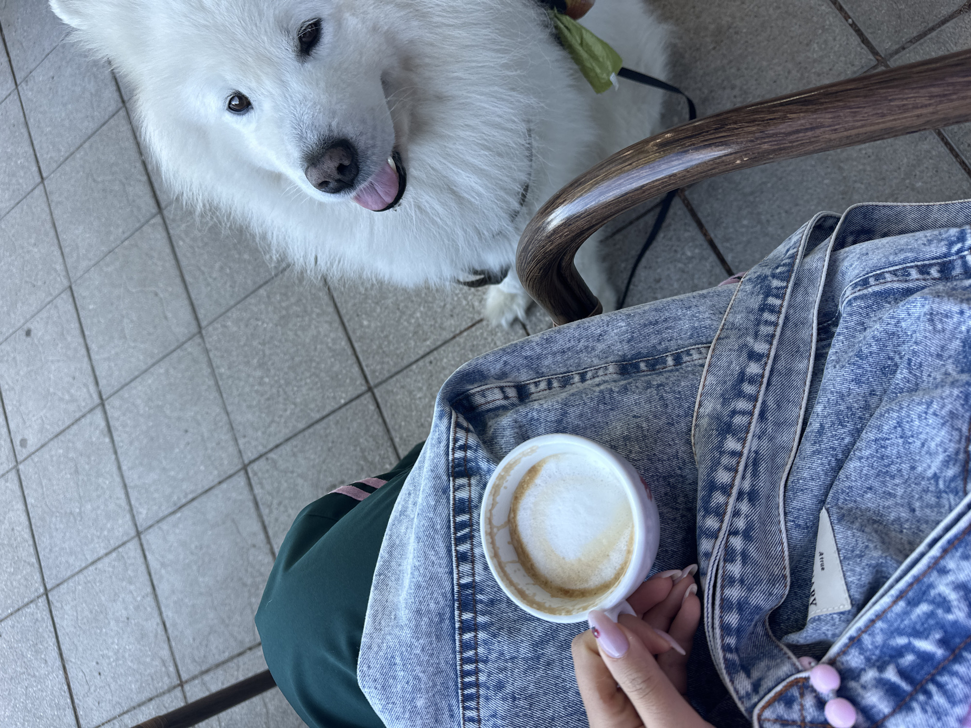 An overhead shot captures a woman seated in a chair with a white Samoyed dog beside her, possibly in a café or outdoor seating area. The floor is tiled in a grid pattern of pale grey squares. The woman is wearing what appears to be a denim jacket and dark green pants. In her hand, she holds a white cup containing a light brown latte. The dog, positioned to the left of the woman, is panting with its tongue visible, appearing to look up at the camera. The location is likely in Bar, Montenegro.