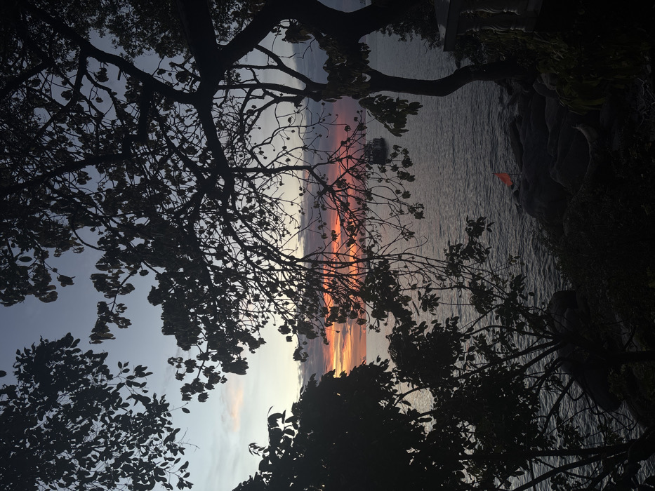 An outdoor scene captured at dusk on the island of Koh Tao, Thailand, presenting a view of the sea from an elevated position. The sky displays a gradient from pale blue at the top, transitioning into vibrant orange, red, and yellow sunset colors at the horizon, with dark scattered clouds partially obscuring the light. The foreground is heavily framed by the dark silhouettes of numerous trees and their foliage, with branches extending into the frame from the top, left, and right edges. The calm sea surface occupies the central and lower portions of the image, reflecting the low light and exhibiting subtle ripples. A large, dark-hulled vessel, resembling a multi-decked boat or ferry, is visible on the water towards the center-right, positioned against the horizon. Along the lower right edge, dark, irregular rock formations line the water's edge, upon which a small, bright orange triangular flag is planted. A portion of a white, column-like architectural element, possibly a baluster from a railing or terrace, is faintly visible on the far right edge of the image. No individuals are present in the scene.