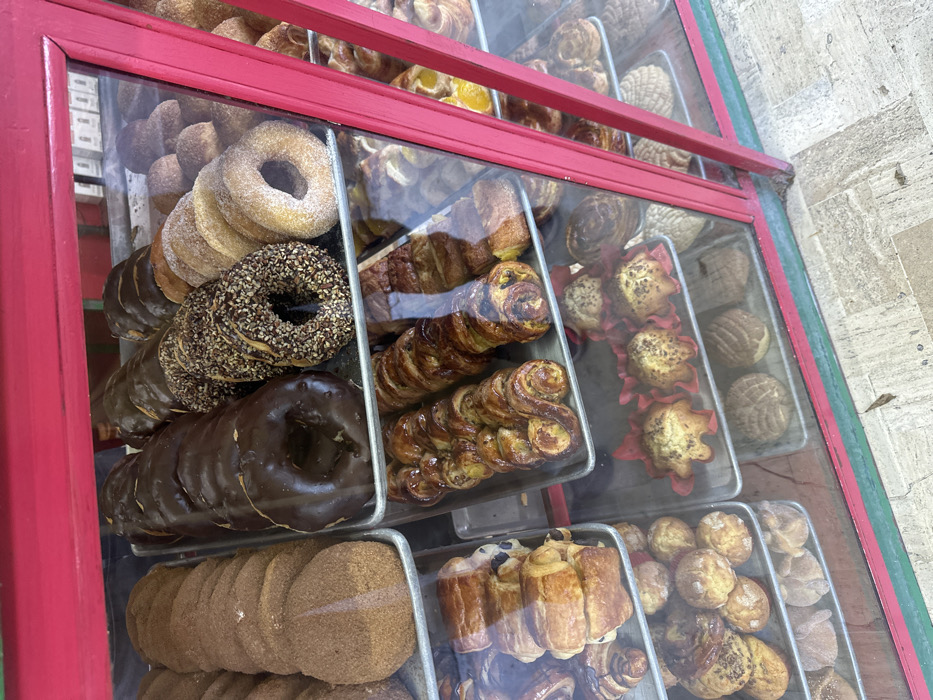 The image displays a red-framed glass bakery display case in Mexico City, Mexico, filled with various baked goods. The top shelf contains trays of flat, cinnamon-dusted round pastries, multiple dark chocolate-glazed donuts, donuts coated with chopped nuts, and plain sugar-dusted ring donuts. The middle shelf presents trays of laminated pastries, including croissant-like items and twisted sweet breads, some featuring visible green or yellow fillings. The bottom shelf showcases small, round individual pastries, cupcake-style items housed in red paper liners, and distinct shell-shaped sweet breads, specifically 'conchas.' Additional pastries are partially visible on the lowest tier. The display case includes a green stripe along its base. The floor directly in front of the case is a light-colored, patterned surface, with a small piece of organic debris present. There are no people visible.