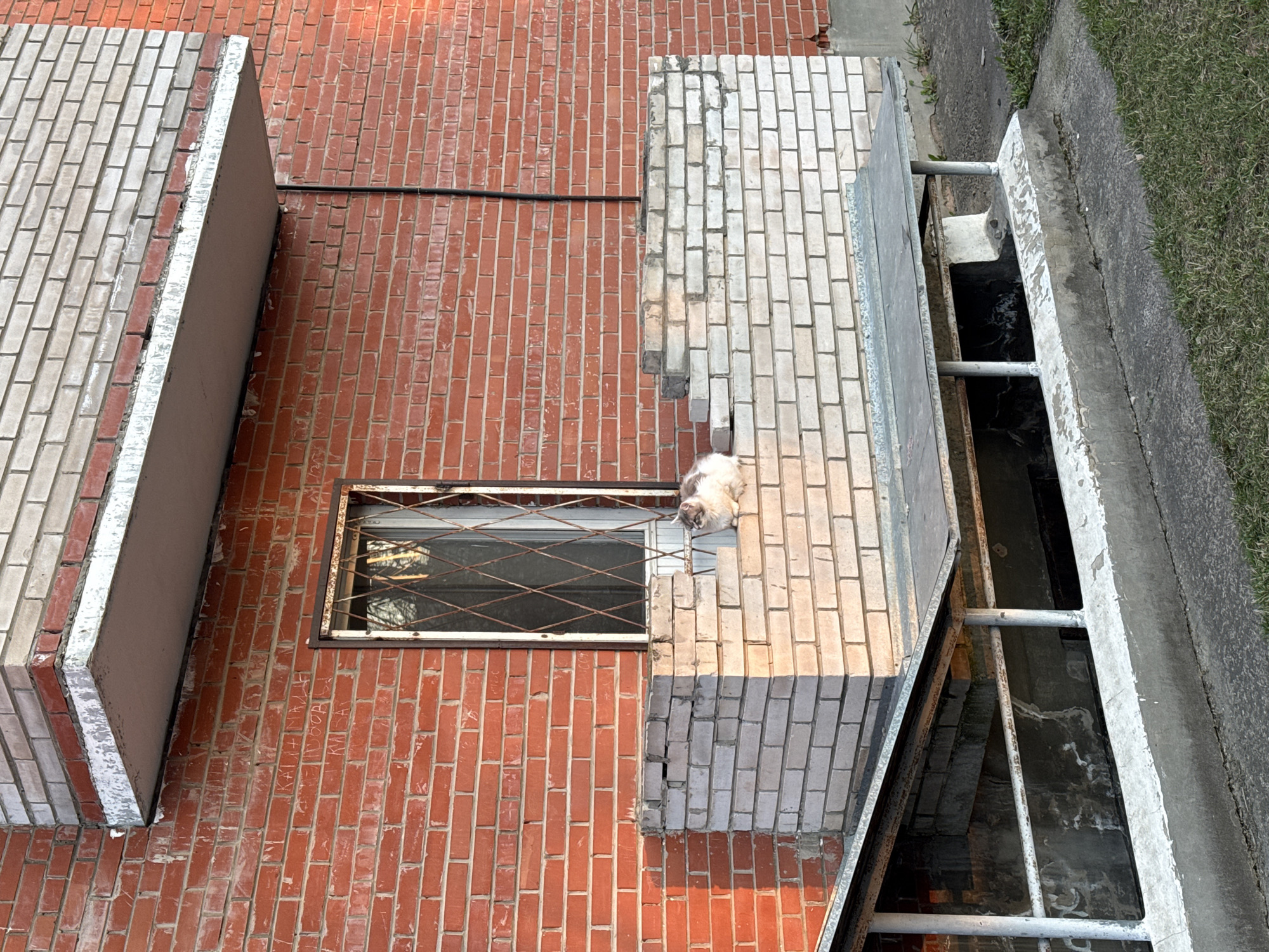 Here's a detailed description of the image:
The image presents an overhead view of a brick building exterior. The primary building material is red brick. Attached to the main wall are two protrusions or structures, both constructed from white brick.
A window with a metal security grate is embedded in the red brick wall. Adjacent to the window, on one of the white brick structures, lies a cat.
Beside the white brick structure where the cat is laying, there is an opening protected by what appears to be a metal railing, possibly a light well or a similar type of architectural feature.
Outside of the structures, there is a gray concrete area, followed by a patch of grass on the right-hand side of the image.