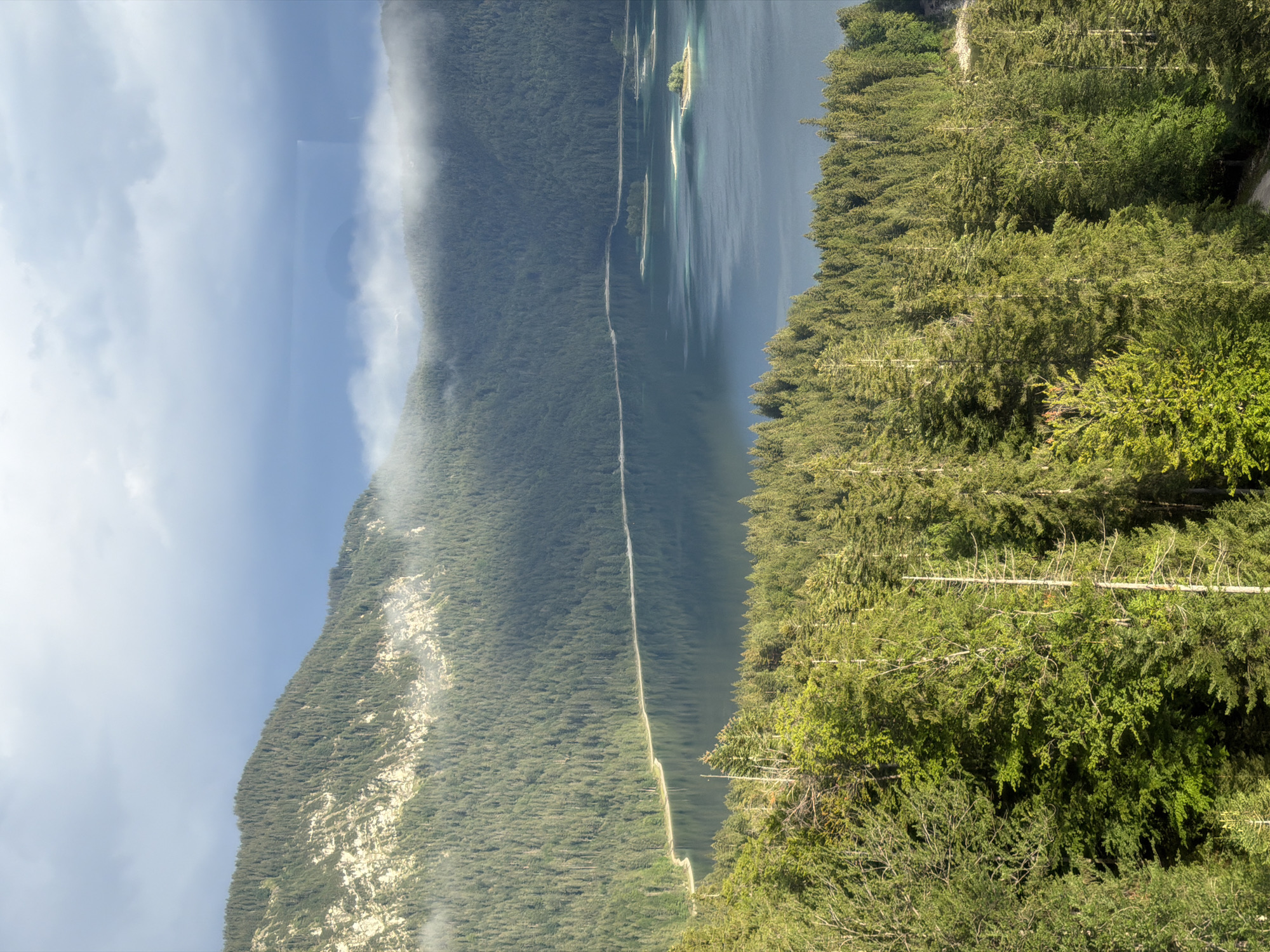 This is a vertical, high-angle, full shot of the Eibsee lake in Grainau, Germany. The foreground is dominated by a dense forest of coniferous trees, with a few deciduous trees interspersed. The trees are a vibrant green and appear to be healthy. The forest floor is not visible.
In the middle ground, the Eibsee lake is visible, with its dark blue water reflecting the sky. There are several small, tree-covered islands in the lake, with some sandy areas visible on their shores. The shoreline of the lake is lined with a dense forest of coniferous trees, similar to the foreground.
In the background, a large mountain range rises, covered in a dense coniferous forest. The upper slopes of the mountain are rocky and bare in some areas. Clouds are present in the sky, with some areas of sunlight breaking through. A misty fog is also visible clinging to the sides of the mountains. The scene is serene and natural, with no people or man-made structures visible.