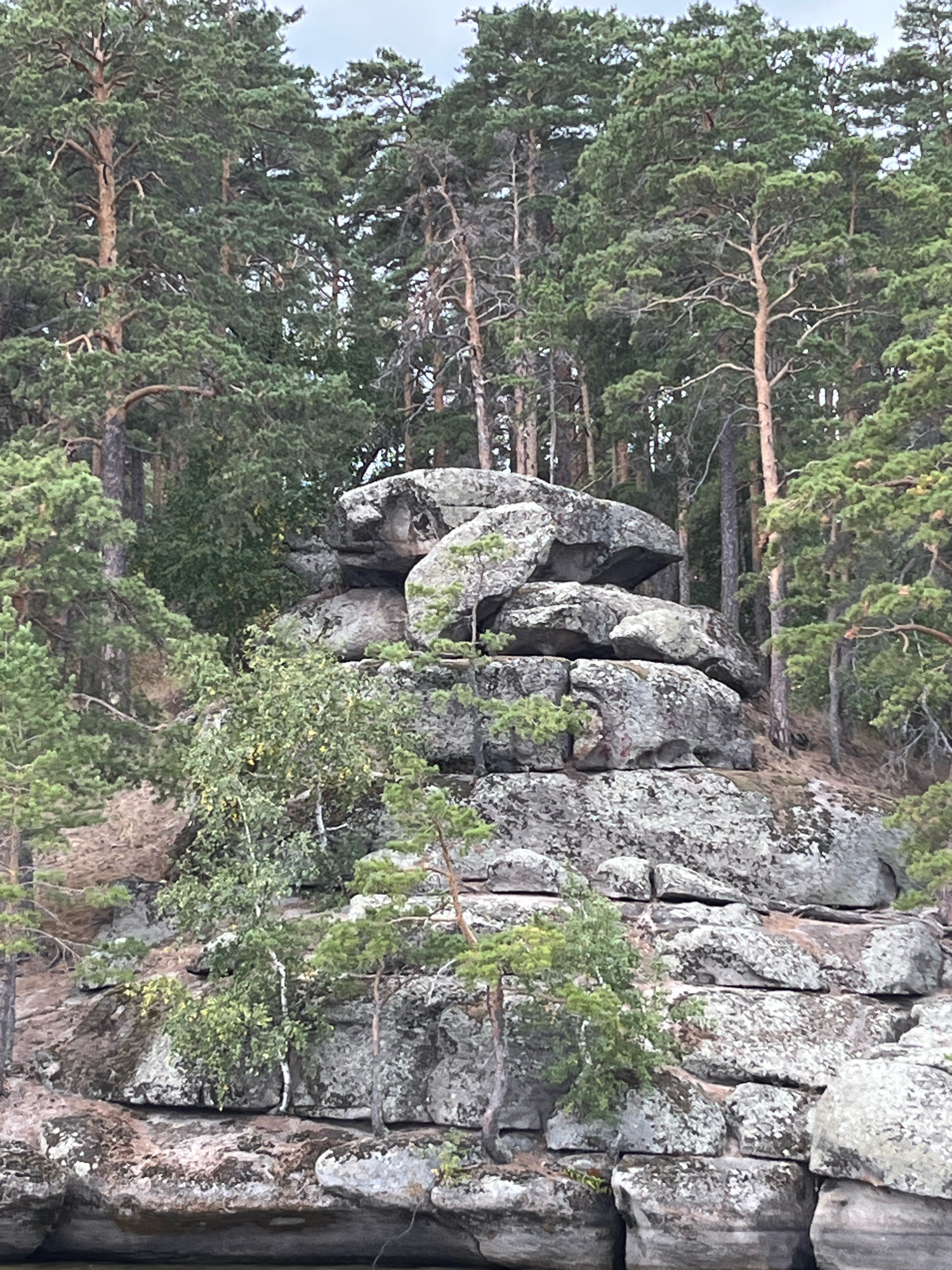 The image depicts a natural rock formation composed of large, weathered stones stacked upon each other. The rocks are predominantly gray with patches of green lichen. Several trees, appearing to be pine and birch, grow around and from the rocks, with their branches and foliage partially obscuring the stone surfaces. The background consists of a dense forest of tall pine trees, their trunks visible and canopies forming a green backdrop. The sky above is overcast and a pale gray. The scene is set in a natural environment, likely a forest or park, and is situated in the vicinity of Зелёный Бор ауылдық округі, Kazakhstan. No people or man-made structures are visible.