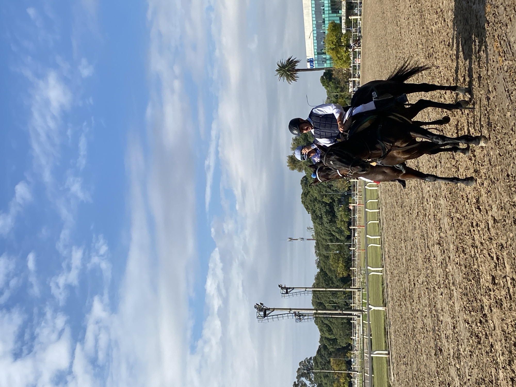This image depicts a training or exercise session at a horse racing track, likely in Buenos Aires, Argentina, under a clear blue sky with scattered white clouds. The setting is outdoors and bright, suggesting a sunny day, possibly morning or early afternoon, with shadows cast on the ground.
The main subjects are two jockeys on horseback, positioned on a textured dirt track. Both jockeys are wearing protective helmets, white long-sleeved shirts, and padded protective vests. The leading jockey's vest clearly displays the text "TUD" on the back. The horses are dark-colored. They appear to be in motion, moving across the track from right to left.
To the left of the dirt track, a strip of green grass is visible, bordered by white track rails. Further in the background, a dense line of green trees stretches horizontally. Tall light poles equipped with floodlights are positioned along the track and among the trees. In the distance on the right, modern multi-story buildings with glass facades are visible, suggesting an urban or suburban environment surrounding the track. A distinct palm tree stands in front of these buildings. Partially visible text on one of the distant buildings appears to be "vald" or similar. The scene conveys focused activity at a professional equestrian facility.