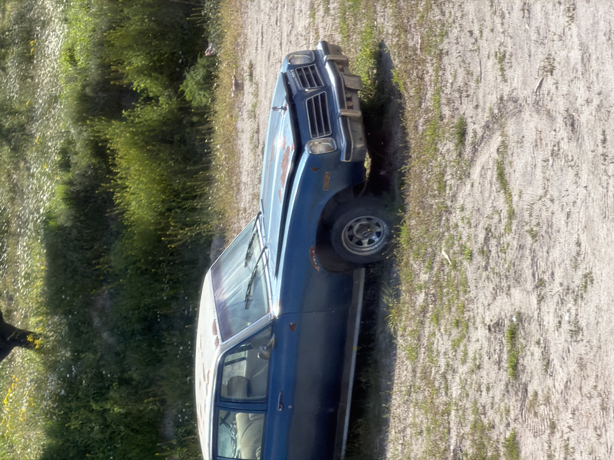 An old, heavily damaged car is prominently featured, parked outdoors on a dry, sandy, or gravelly surface. The vehicle, likely a sedan from the 1970s or 80s based on its design, is painted blue on the lower body and white on the upper sections, though both colors are significantly faded, peeling, and marked with rust. The front end of the car shows considerable impact damage or modification, with a crumpled hood, misaligned grille, and bent chrome bumper. Square headlights are visible. The car's tires and metallic rims are also visible.
To the left of the car, a dense area of vibrant green vegetation, consisting of tall grass and bushes, extends into the background, interspersed with small white and yellow flowers. The ground immediately surrounding the car and to its right is mostly barren dirt with scattered patches of sparse green growth, indicating a dry, rural, or undeveloped outdoor setting. The scene is illuminated by bright daylight. There are no people visible, and the car appears to be stationary, possibly abandoned or parked. Indistinct, faded markings or text can be seen on the side and hood of the car, but they are not legible. No specific location cues for Göreme, Turkey, are discernible within the image itself beyond the general dry, natural landscape.