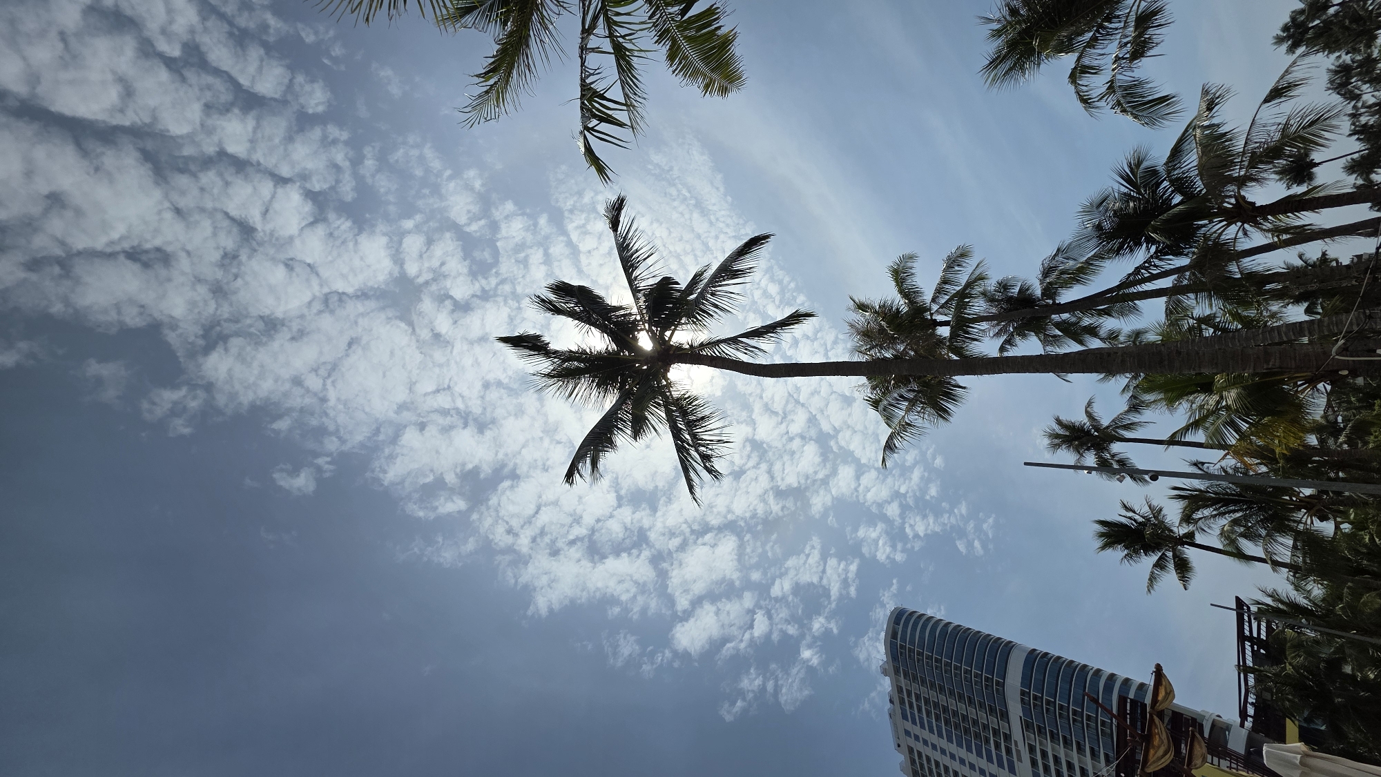 The image is taken from a low angle looking up at palm trees against a cloudy sky. The leaves of the palm trees are silhouetted against the bright sky, with the sun partially obscured by the foliage. A tall building is visible in the lower part of the frame. The image was taken in Bac Nha Trang Ward, Vietnam.