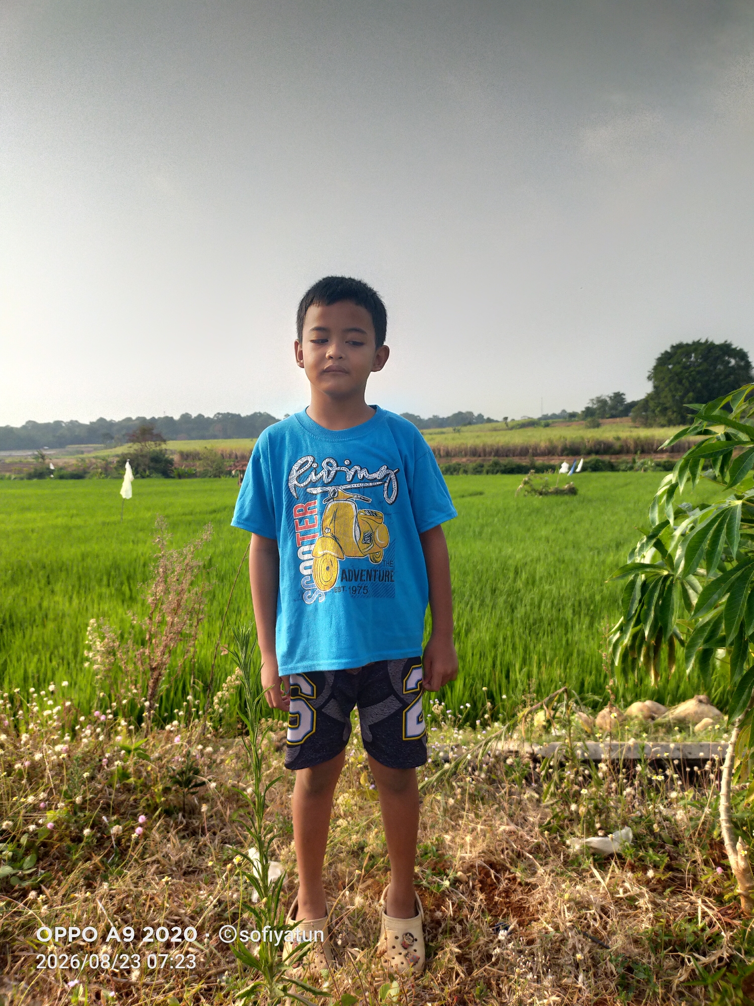 A young boy stands in the foreground, facing forward with his eyes closed. He is wearing a blue t-shirt with a graphic of a yellow scooter and the text "RIDING SCOOTER ADVENTURE EST 1975." He also wears dark shorts with white and yellow trim. The boy is barefoot, wearing tan slip-on shoes. The background features a lush green rice field, characteristic of rural Indonesia. The sky is overcast. The overall scene is likely from the city of Tayu, Indonesia, given the context of the provided image.