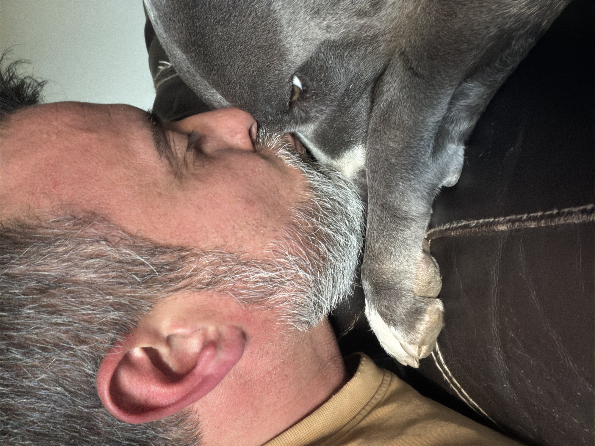 The image shows a man with grey hair and a beard lying on a dark leather couch. A grey dog is nestled close to his face, with its paw resting on the couch. The dog's eye is visible. The man's ear and neck are also visible. No information indicates the location as Esch-sur-Alzette, Luxembourg.