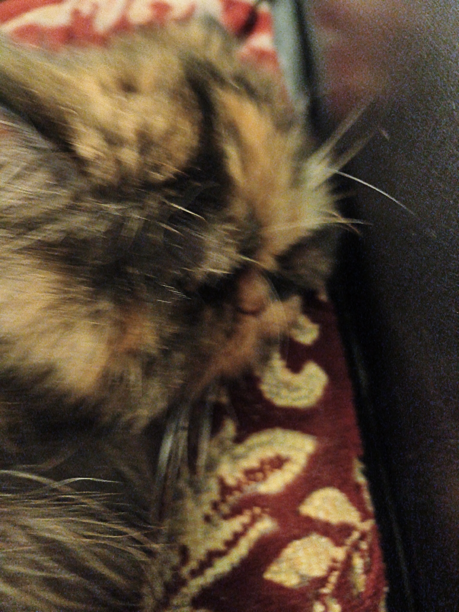 The image shows a close-up, out-of-focus view of a cat's fur. The cat appears to be lying down on a patterned fabric. The fur colors range from light brown and tan to dark brown and black, with some orange undertones. The texture of the fur is long and appears soft. The patterned fabric is a deep red with lighter yellow or tan shapes that resemble leaves or floral designs. The background is dark and textured, possibly a couch or upholstery. The lighting is dim, creating a soft and hazy effect. There is no identifiable location within the city of Unknown, Unknown.