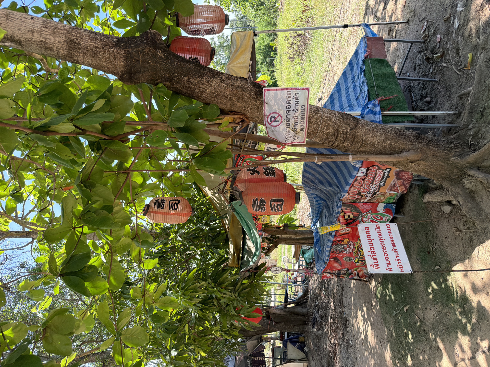 This is a medium shot, eye-level, outdoor, natural light photograph taken at a street food stall in Baan Bo Phut, Thailand. The image features a tree with lush green leaves in the foreground, partially obscuring the scene. Red Japanese lanterns with black lettering are hanging from the tree branches. To the right of the tree, there is a white sign with a red circular prohibition symbol and Thai text. Behind the tree and to the left, a covered street food stall is visible, with blue and white striped tarpaulin covering a table. The stall is decorated with colorful graphics and appears to be selling food items. Further in the background, more stalls and tents can be seen, along with a grassy field and trees under a bright blue sky. The ground in front of the stall is covered in dirt and fallen leaves. There are no people visible in the frame. The scene depicts a typical street food vendor setup in a tropical environment.