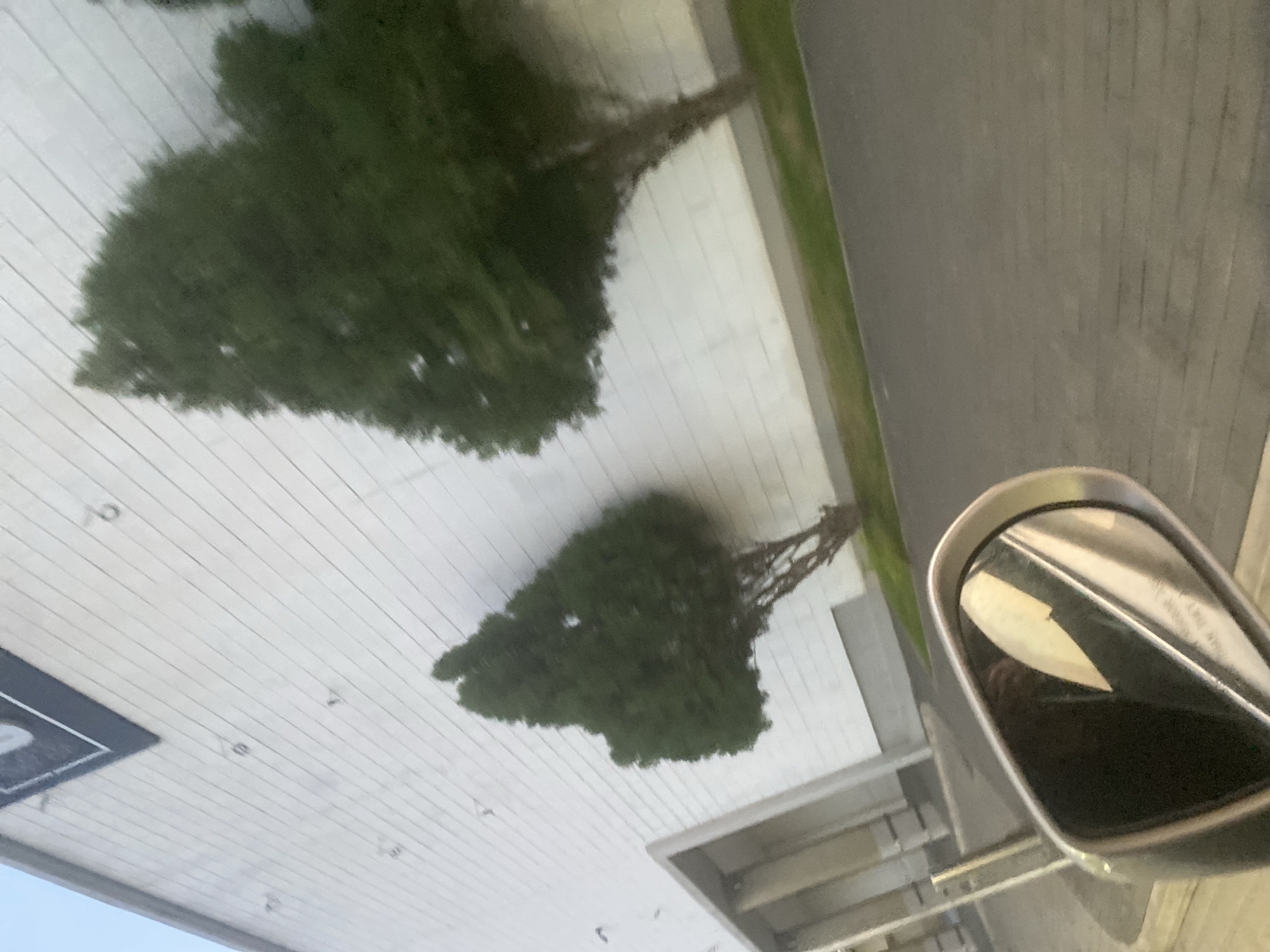This is a ground-level, outdoor shot taken from a moving vehicle, looking towards a modern building with a white, corrugated facade. Two evergreen trees are visible in front of the building, with one positioned closer to the foreground and the other further back. A portion of a car's side mirror is in the lower left corner of the frame, reflecting the building and the sky. The ground in the foreground appears to be paved, with a strip of green grass separating it from the building. The scene is likely set in an urban or commercial area, possibly a shopping center or an office complex. There are no people visible in the image, and the overall mood is neutral and observational. The location in Kuchingoro, Nigeria, is an urban district within the Federal Capital Territory.