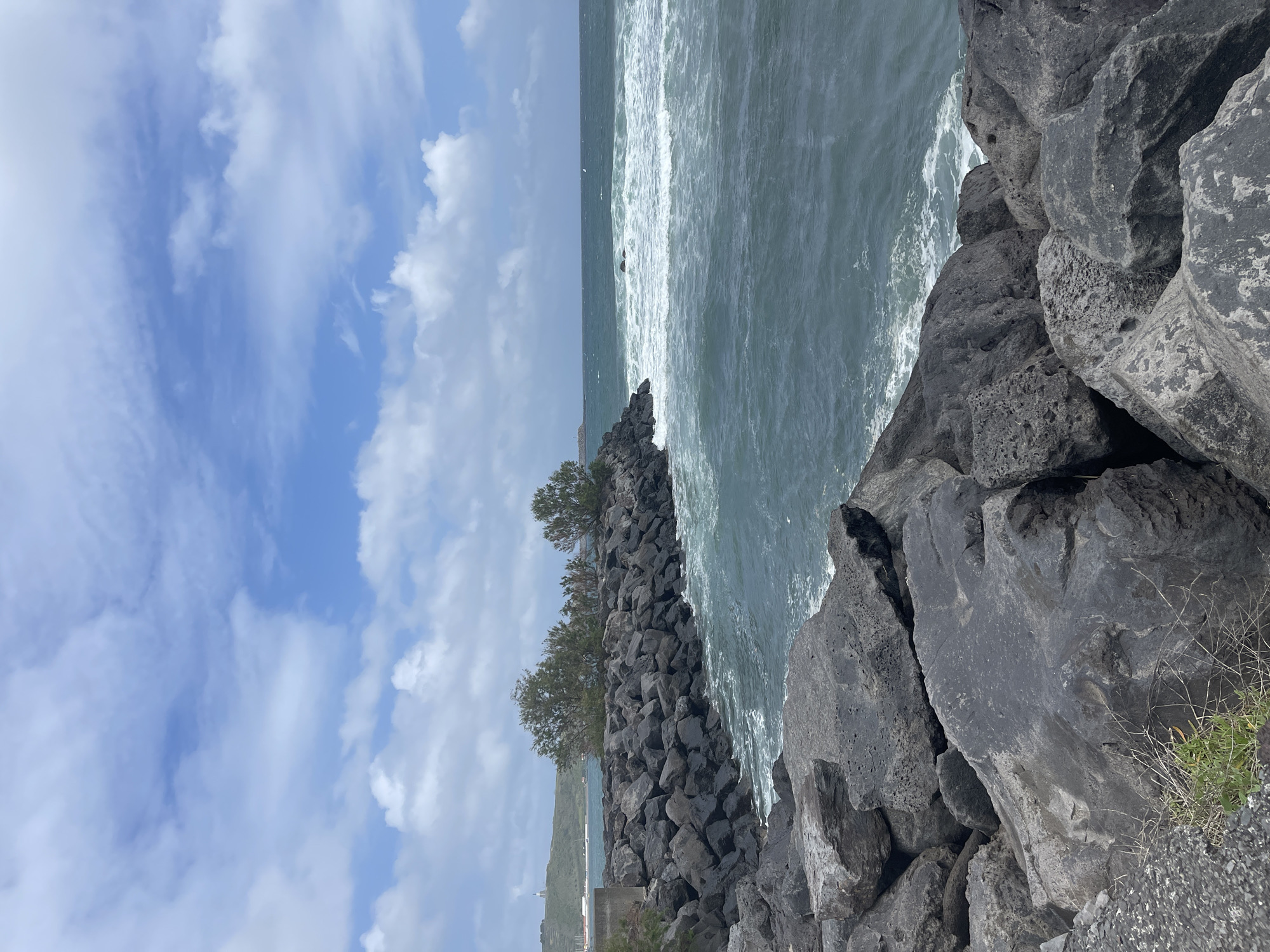 The image shows a rocky coastline in Praia da Vitória, Portugal. The foreground is dominated by large, dark-grey volcanic rocks, some with small patches of greenery. The ocean is visible to the left of the rocks, with white waves crashing against the shore. Further back, a row of trees lines the coast above a rocky barrier. In the background, part of the urban landscape of Praia da Vitória can be seen. The sky is light blue with scattered white clouds. The image appears to be taken during the day.