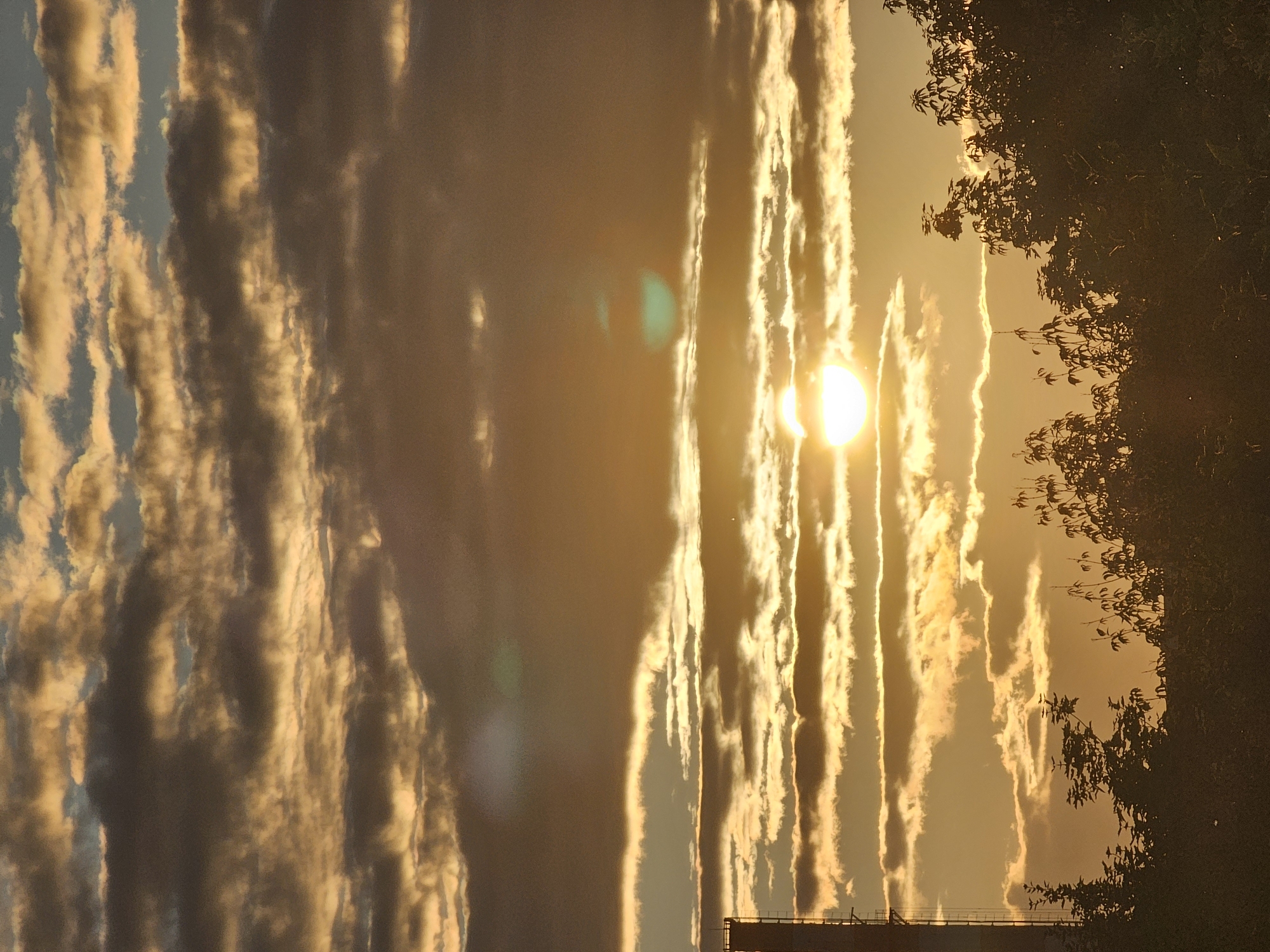 This is a photograph of a sunset over the city of Khimki, Russia. The sun is a bright orb in the sky, partially obscured by clouds. The clouds are illuminated by the sun, creating a warm, golden glow. The sky is a mix of orange, yellow, and gray. In the foreground, there are silhouetted trees and a tall, industrial-looking structure on the left side of the image. The overall impression is one of a serene and beautiful natural scene against an urban backdrop.