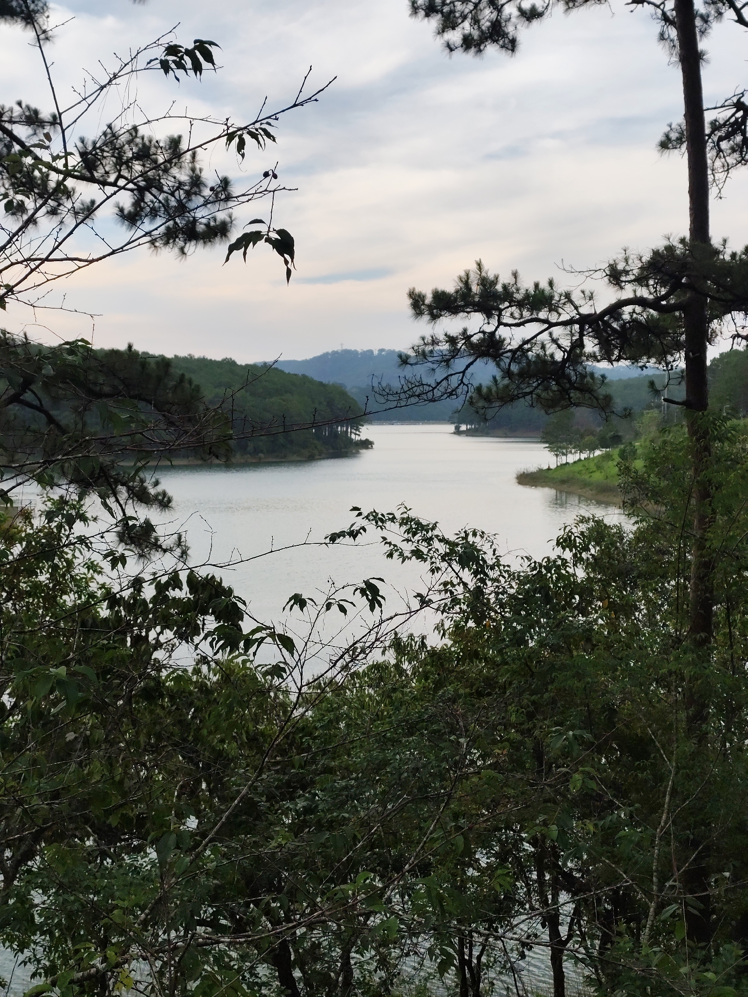 An eye-level outdoor shot shows a body of water surrounded by trees in what appears to be a hilly environment. The water is still, reflecting the sky, which is overcast. Trees frame the view, particularly in the foreground, with branches and leaves obscuring parts of the scene. Some bare branches are visible, as are various types of trees, including what appear to be pine trees. In the background, hills are visible across the water. The image lacks human presence. It's likely taken in a wooded area near a lake in Da Lat, Vietnam, given its topography and typical vegetation.
